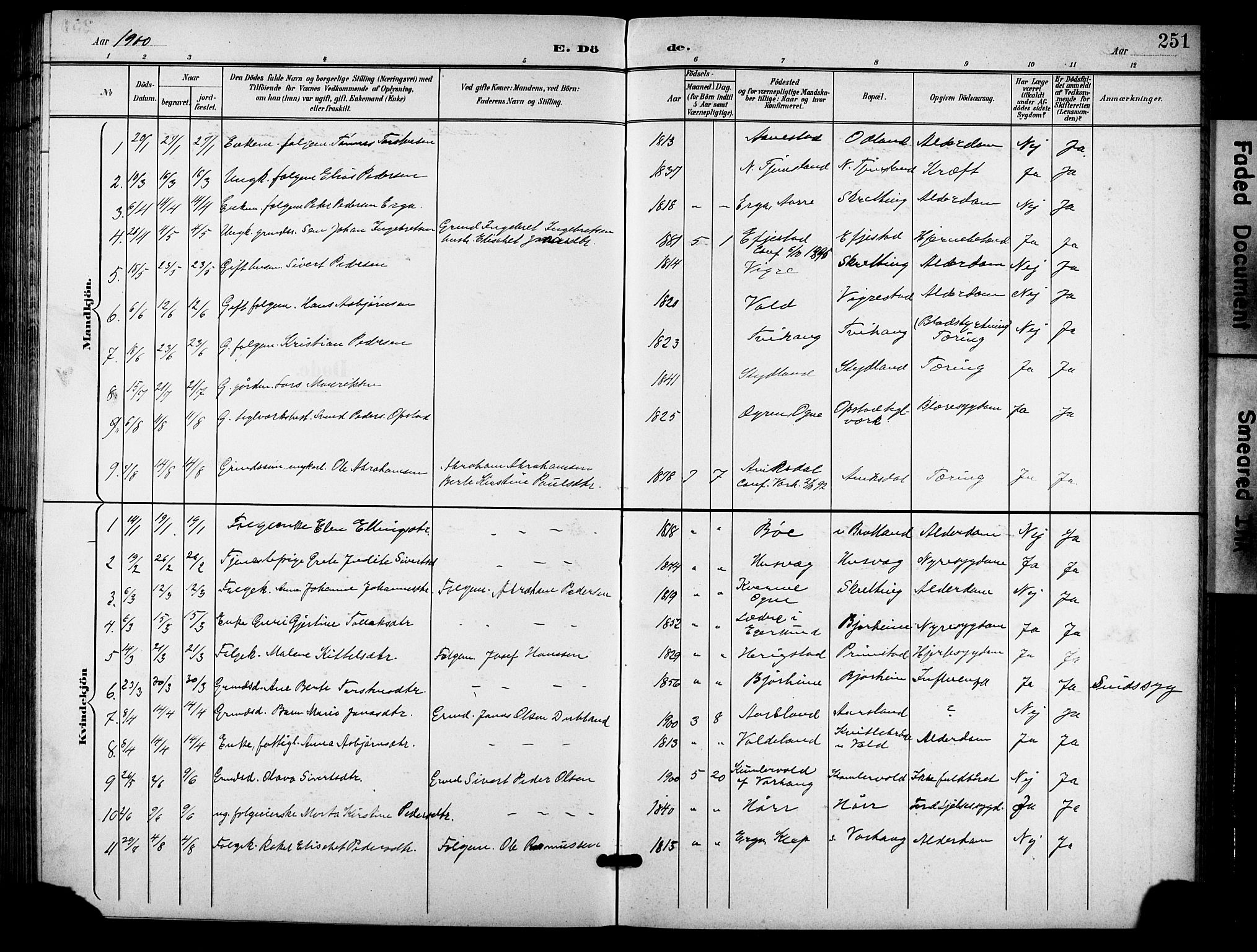 Hå sokneprestkontor, AV/SAST-A-101801/001/30BB/L0006: Parish register (copy) no. B 6, 1900-1924, p. 251