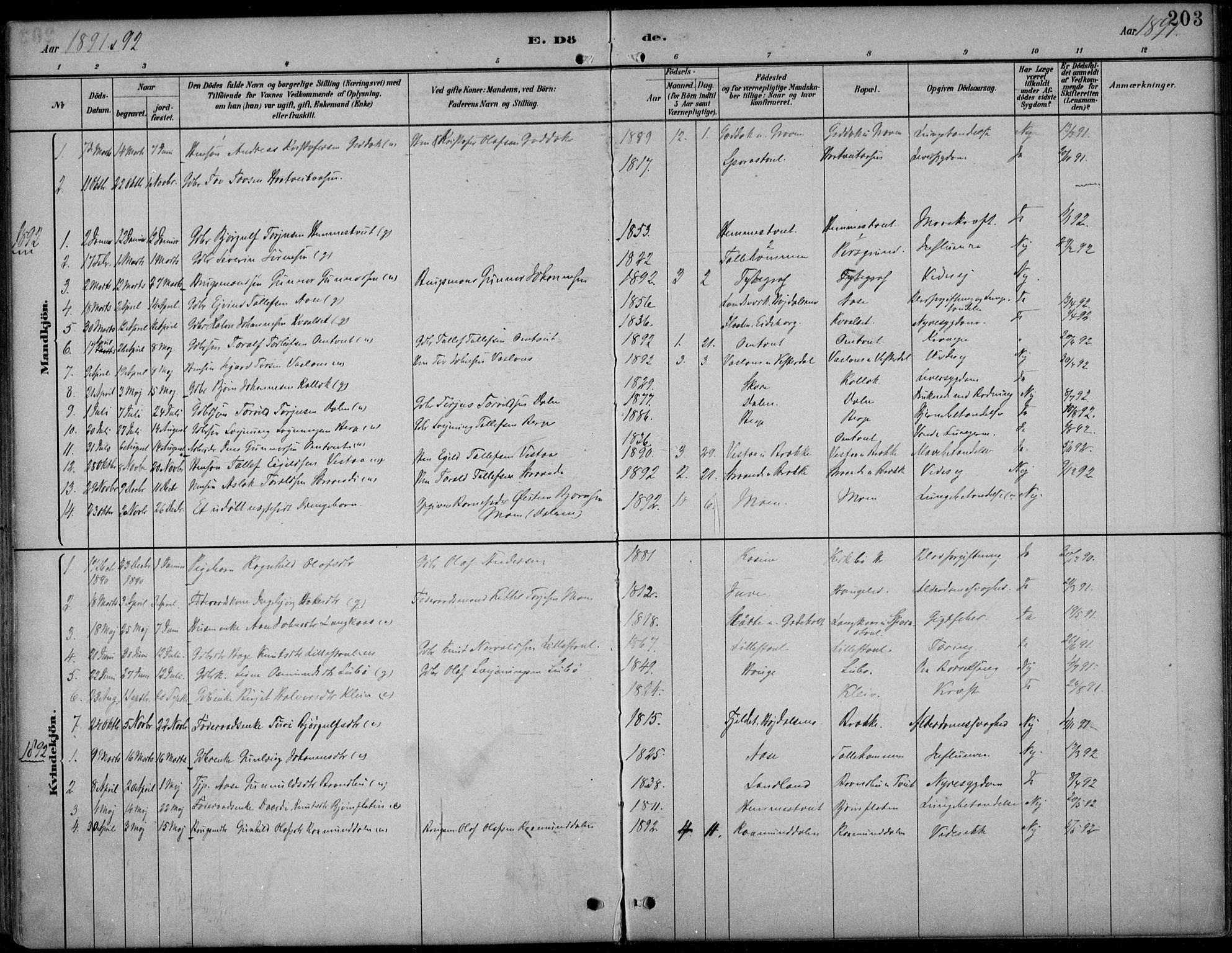 Kviteseid kirkebøker, SAKO/A-276/F/Fb/L0002: Parish register (official) no. II 2, 1882-1916, p. 203