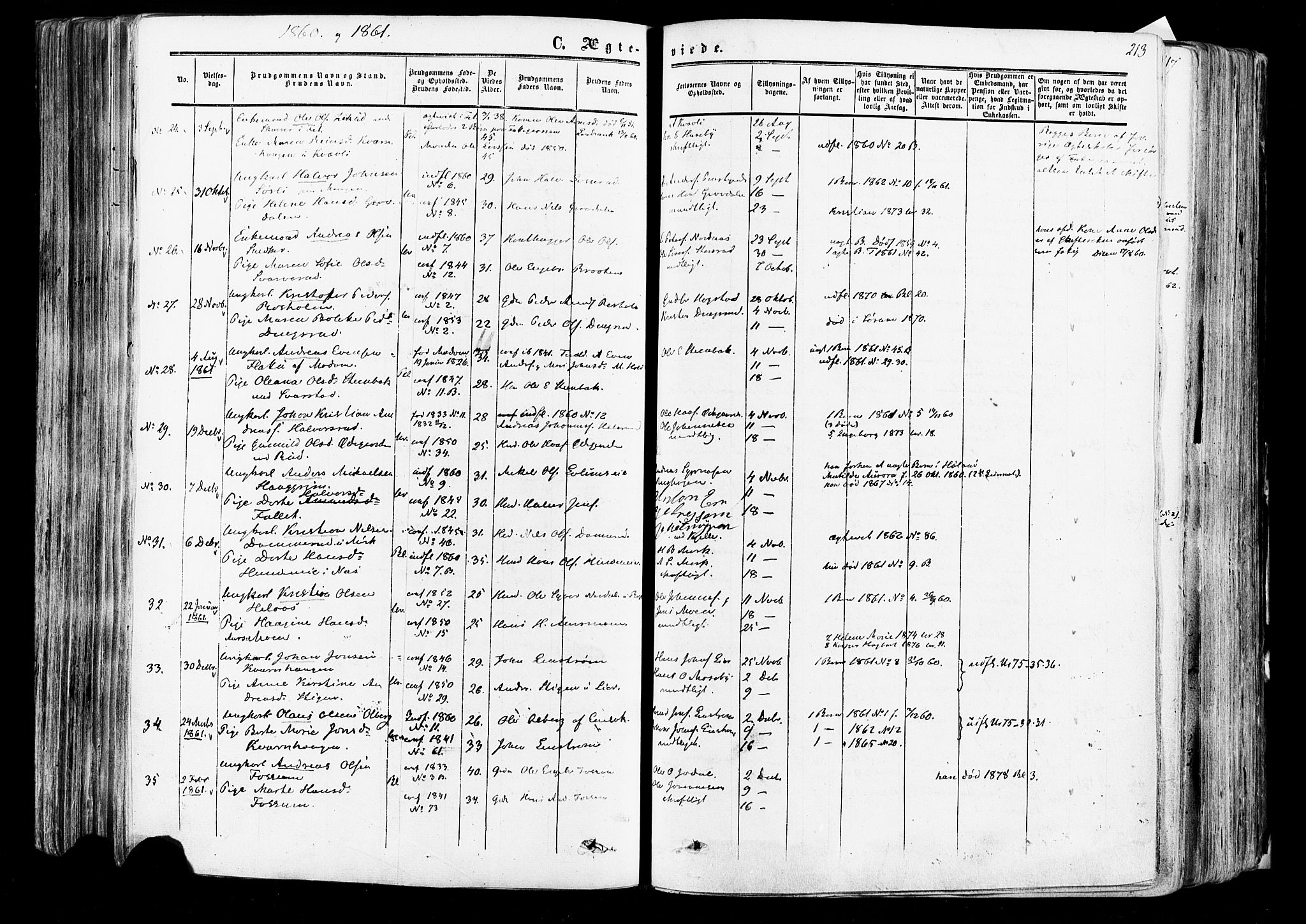 Aurskog prestekontor Kirkebøker, SAO/A-10304a/F/Fa/L0007: Parish register (official) no. I 7, 1854-1877, p. 213