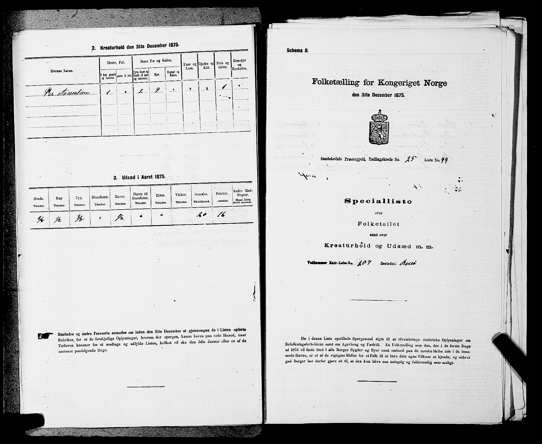 SAKO, 1875 census for 0816P Sannidal, 1875, p. 2002