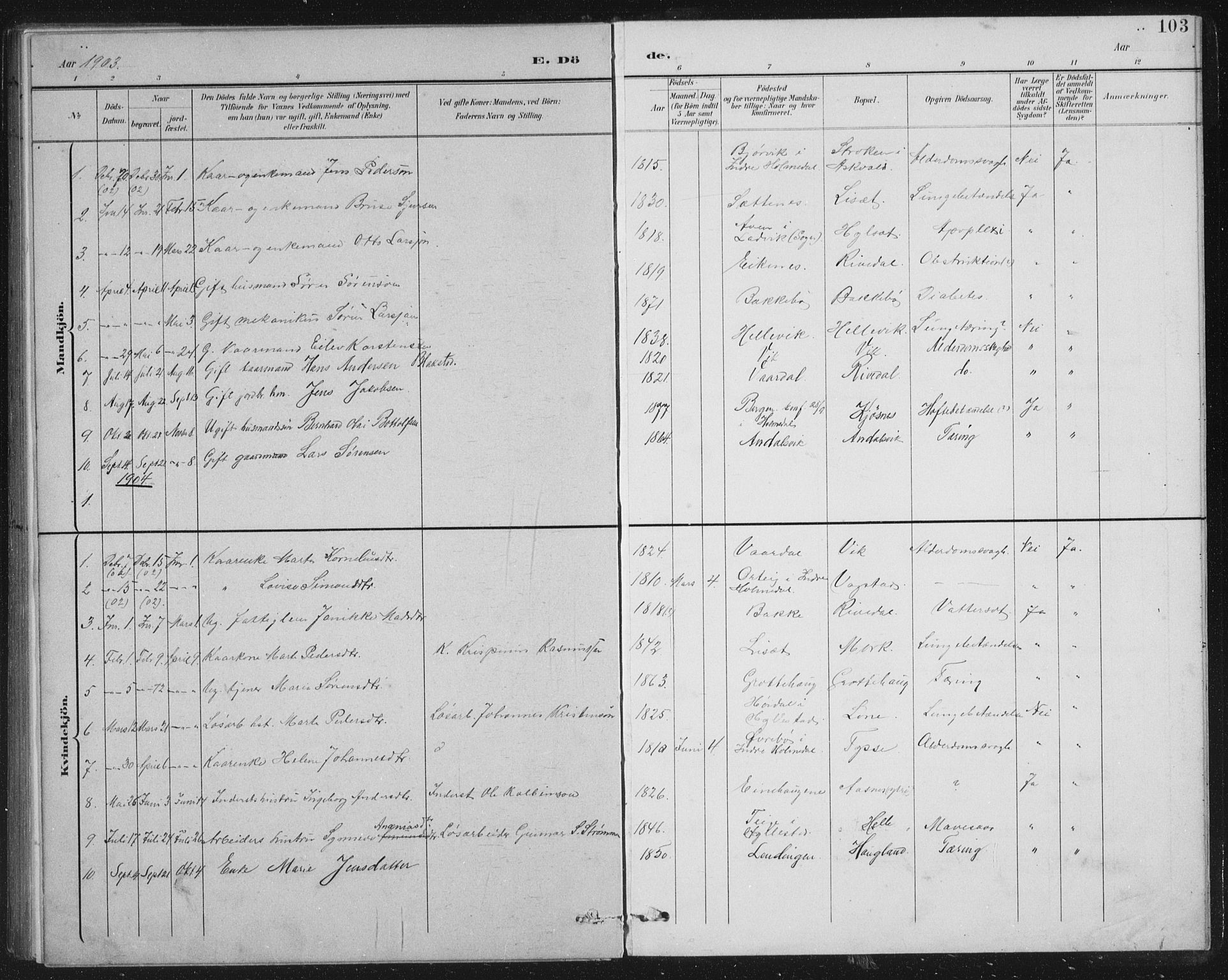 Fjaler sokneprestembete, AV/SAB-A-79801/H/Hab/Habb/L0002: Parish register (copy) no. B 2, 1895-1915, p. 103