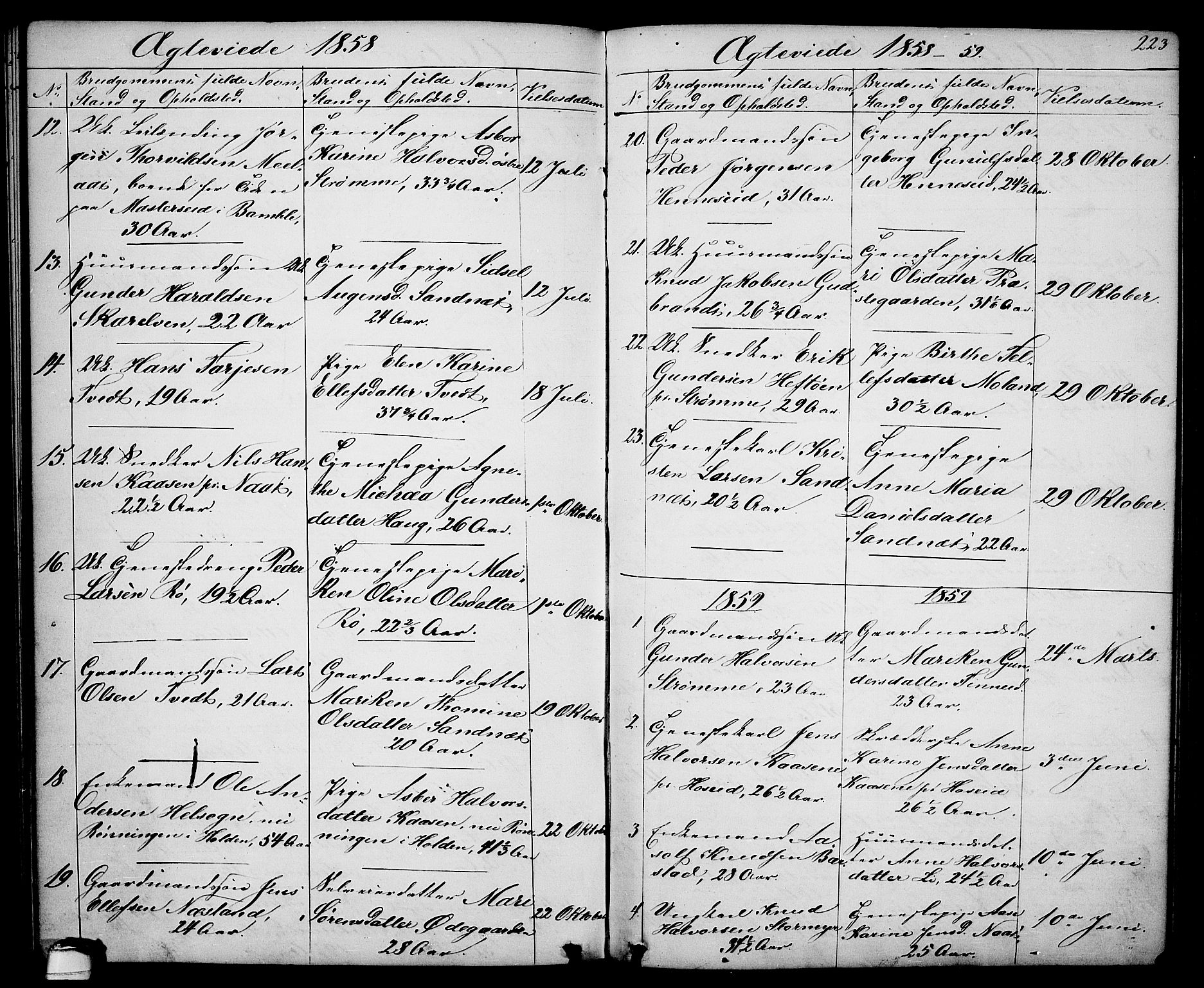 Drangedal kirkebøker, SAKO/A-258/G/Ga/L0002: Parish register (copy) no. I 2, 1856-1887, p. 223