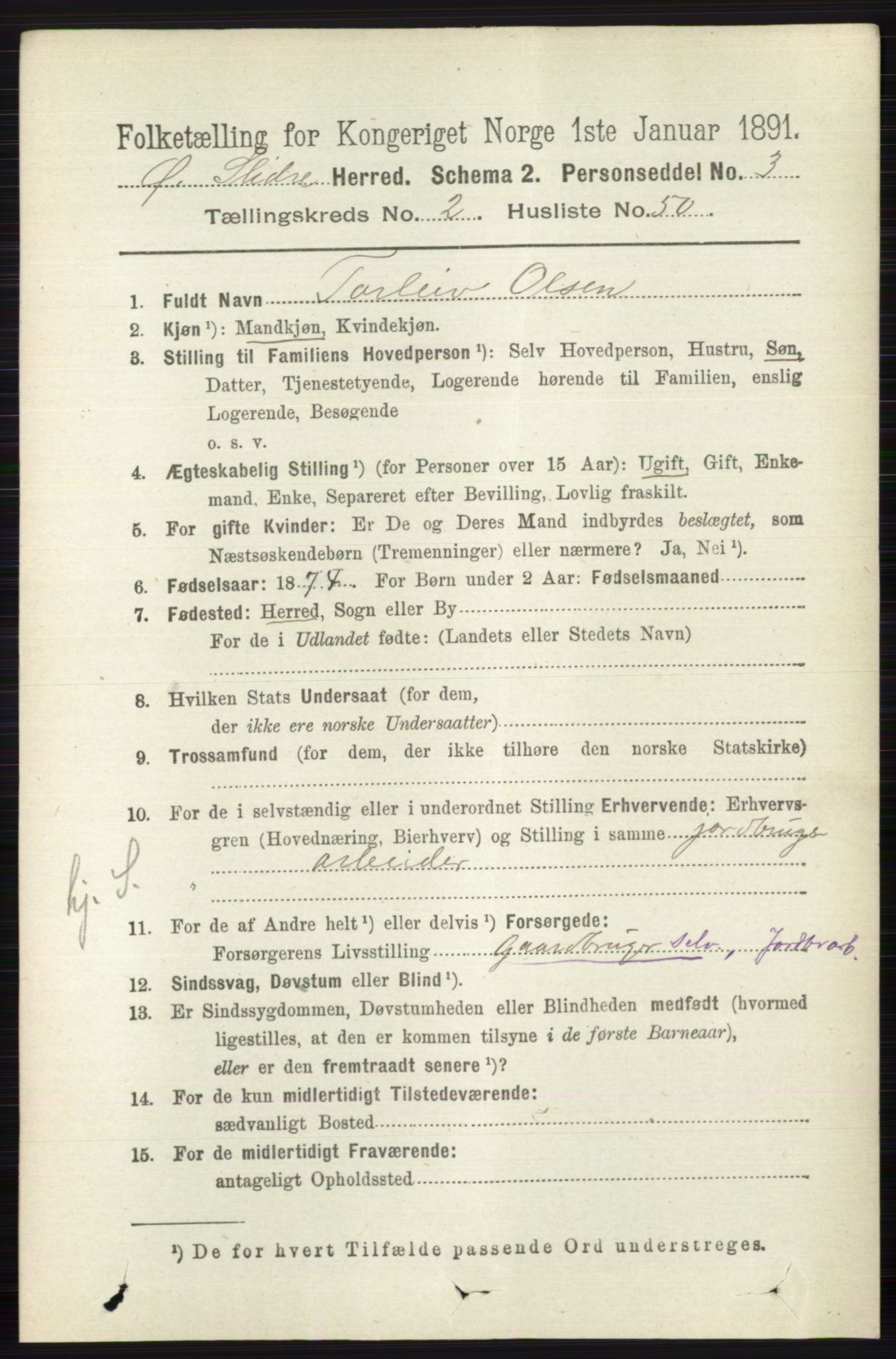 RA, 1891 census for 0544 Øystre Slidre, 1891, p. 543