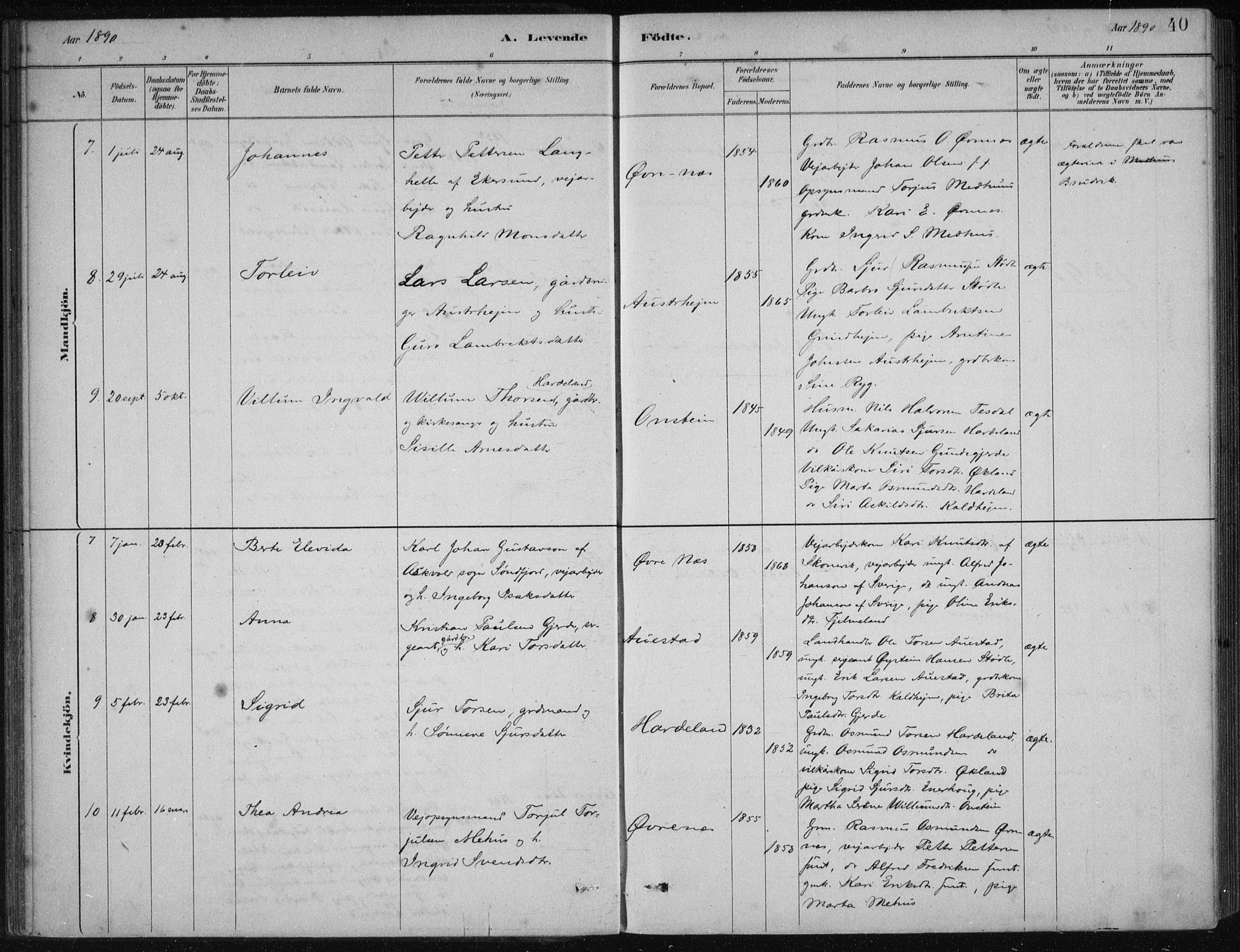 Etne sokneprestembete, SAB/A-75001/H/Haa: Parish register (official) no. D  1, 1879-1919, p. 40