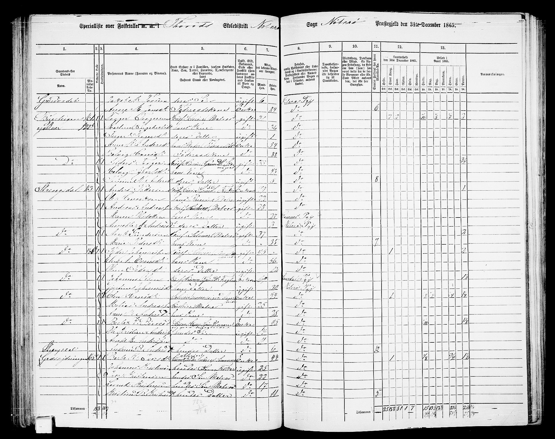 RA, 1865 census for Nøtterøy, 1865, p. 120