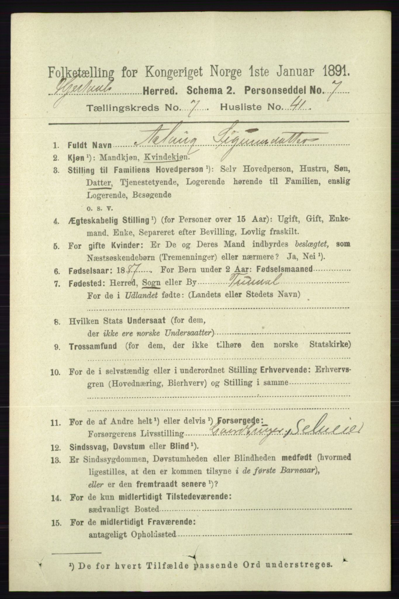 RA, 1891 census for 0827 Hjartdal, 1891, p. 2764