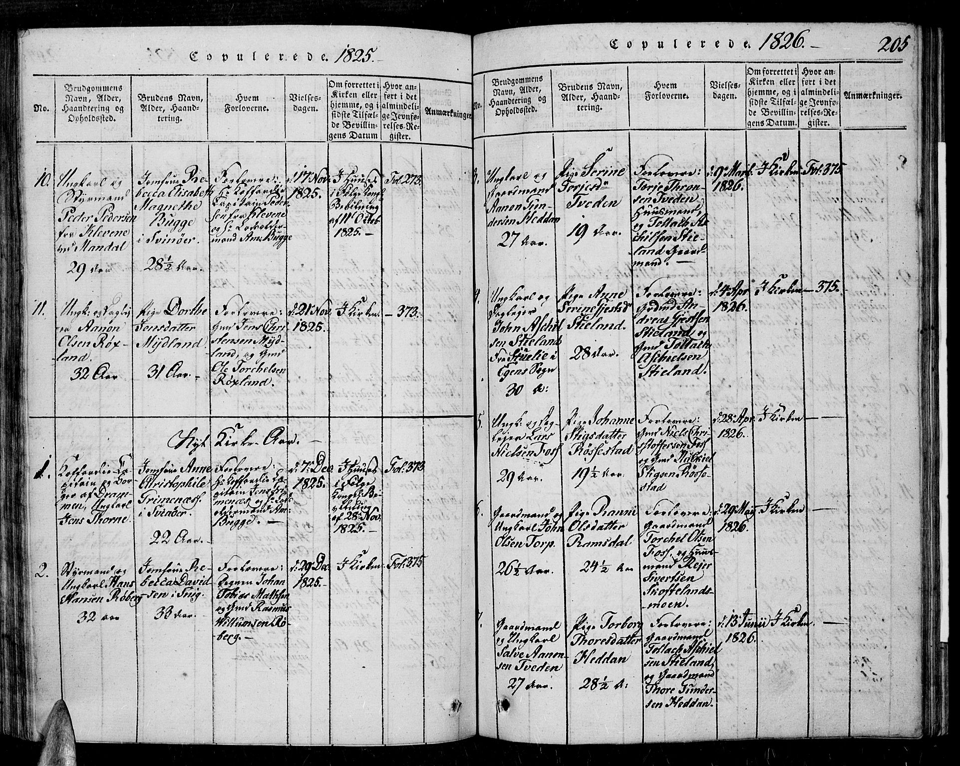 Sør-Audnedal sokneprestkontor, AV/SAK-1111-0039/F/Fa/Fab/L0005: Parish register (official) no. A 5, 1816-1830, p. 205