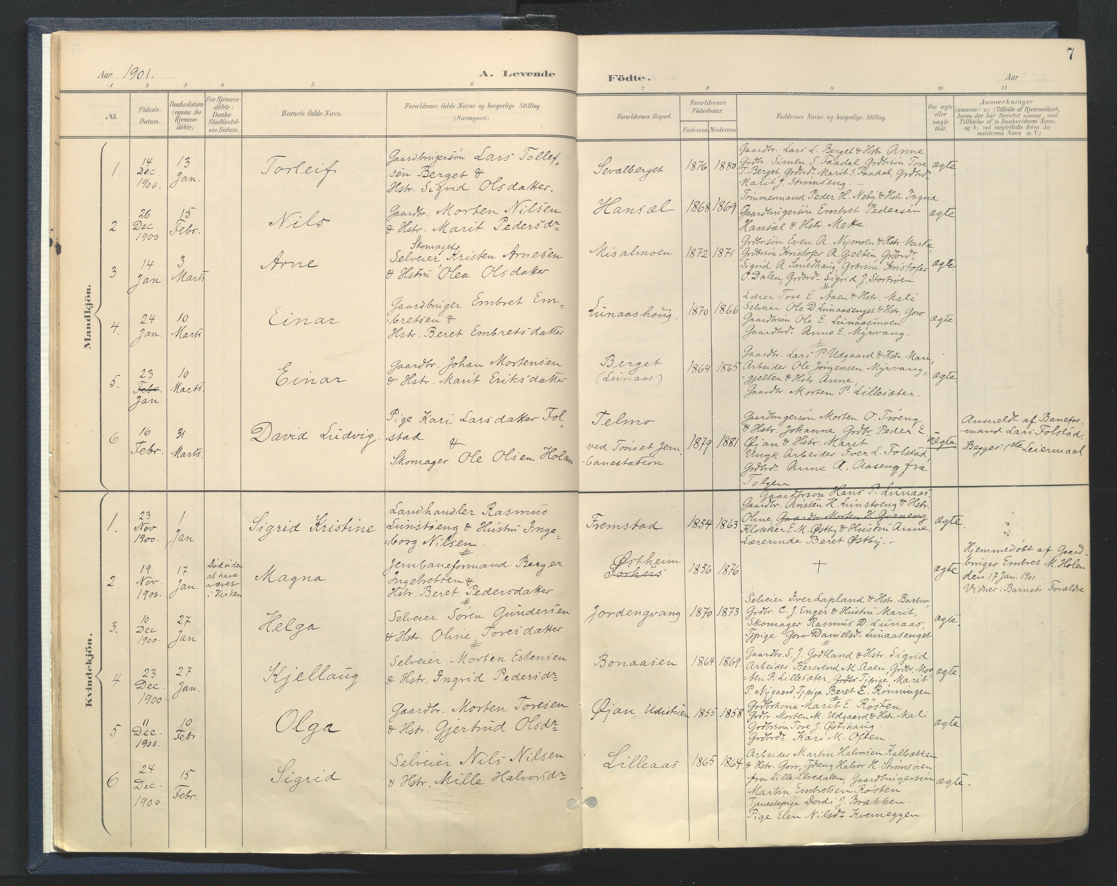 Tynset prestekontor, SAH/PREST-058/H/Ha/Haa/L0025: Parish register (official) no. 25, 1900-1914, p. 7