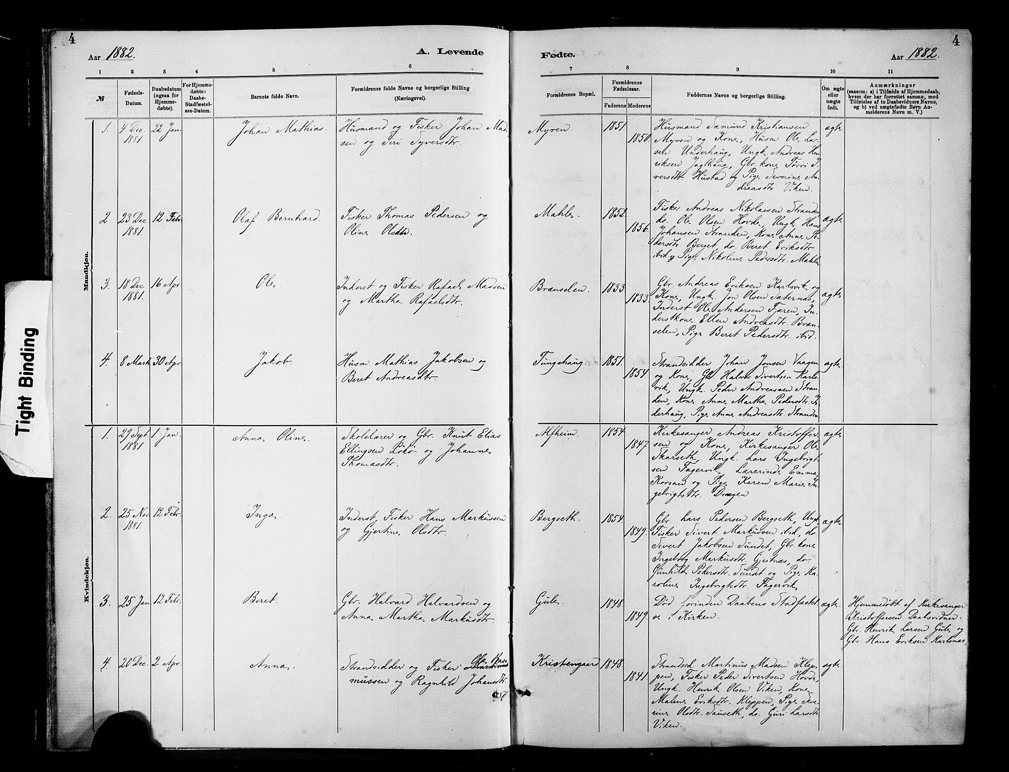 Ministerialprotokoller, klokkerbøker og fødselsregistre - Møre og Romsdal, SAT/A-1454/566/L0769: Parish register (official) no. 566A08, 1881-1903, p. 4