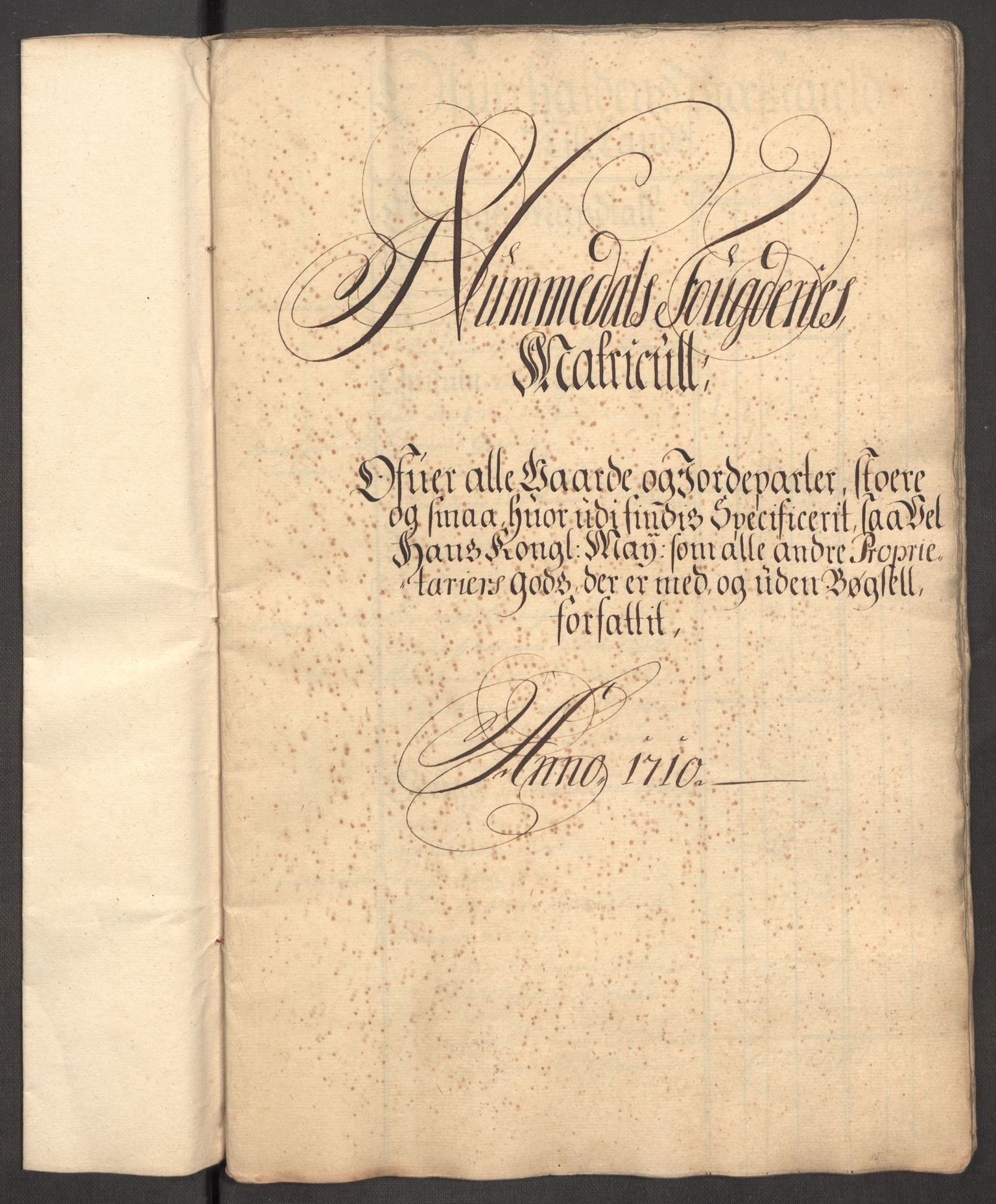 Rentekammeret inntil 1814, Reviderte regnskaper, Fogderegnskap, AV/RA-EA-4092/R64/L4431: Fogderegnskap Namdal, 1709-1710, p. 288