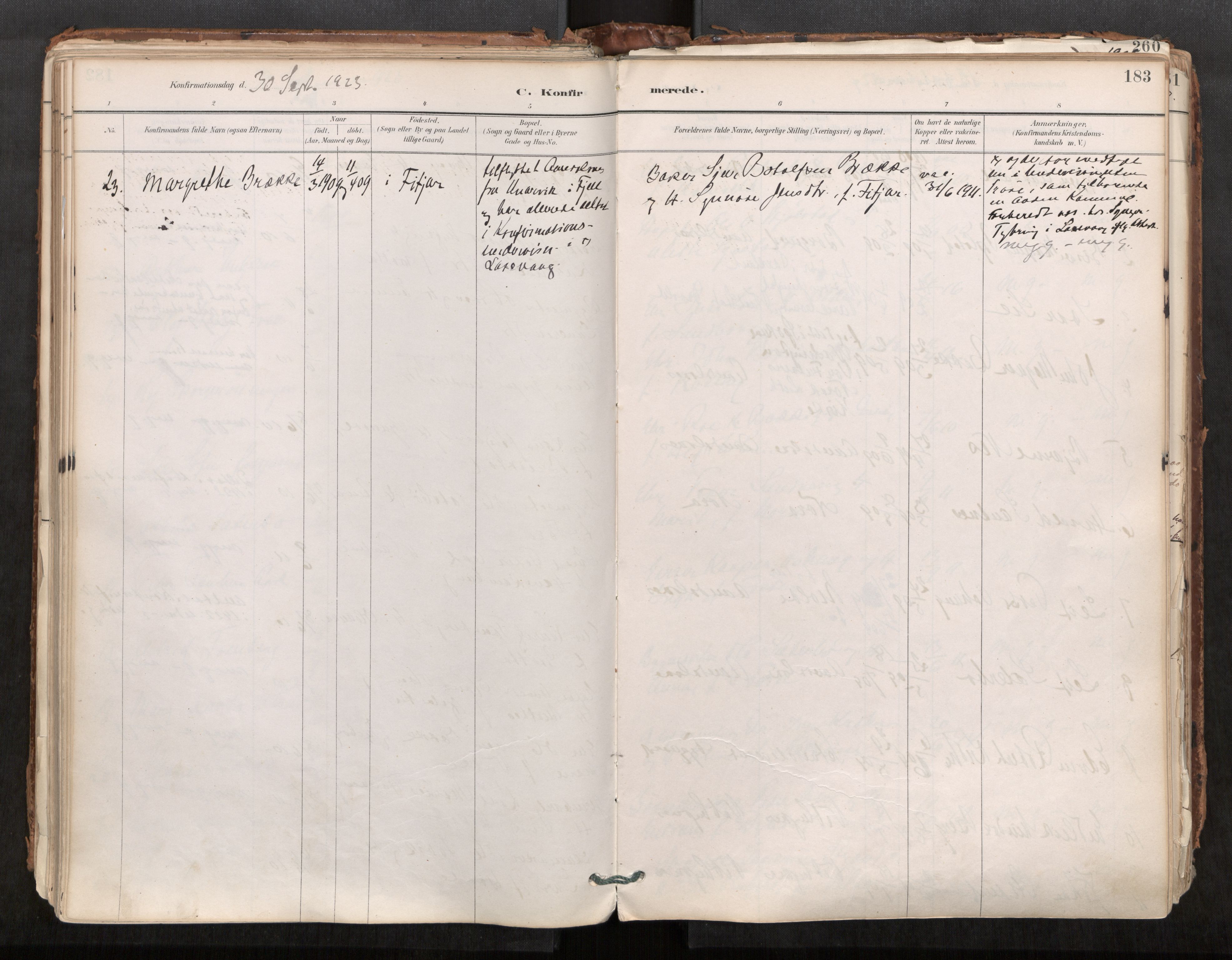 Ministerialprotokoller, klokkerbøker og fødselsregistre - Møre og Romsdal, AV/SAT-A-1454/544/L0585: Parish register (official) no. 544A06, 1887-1924, p. 183