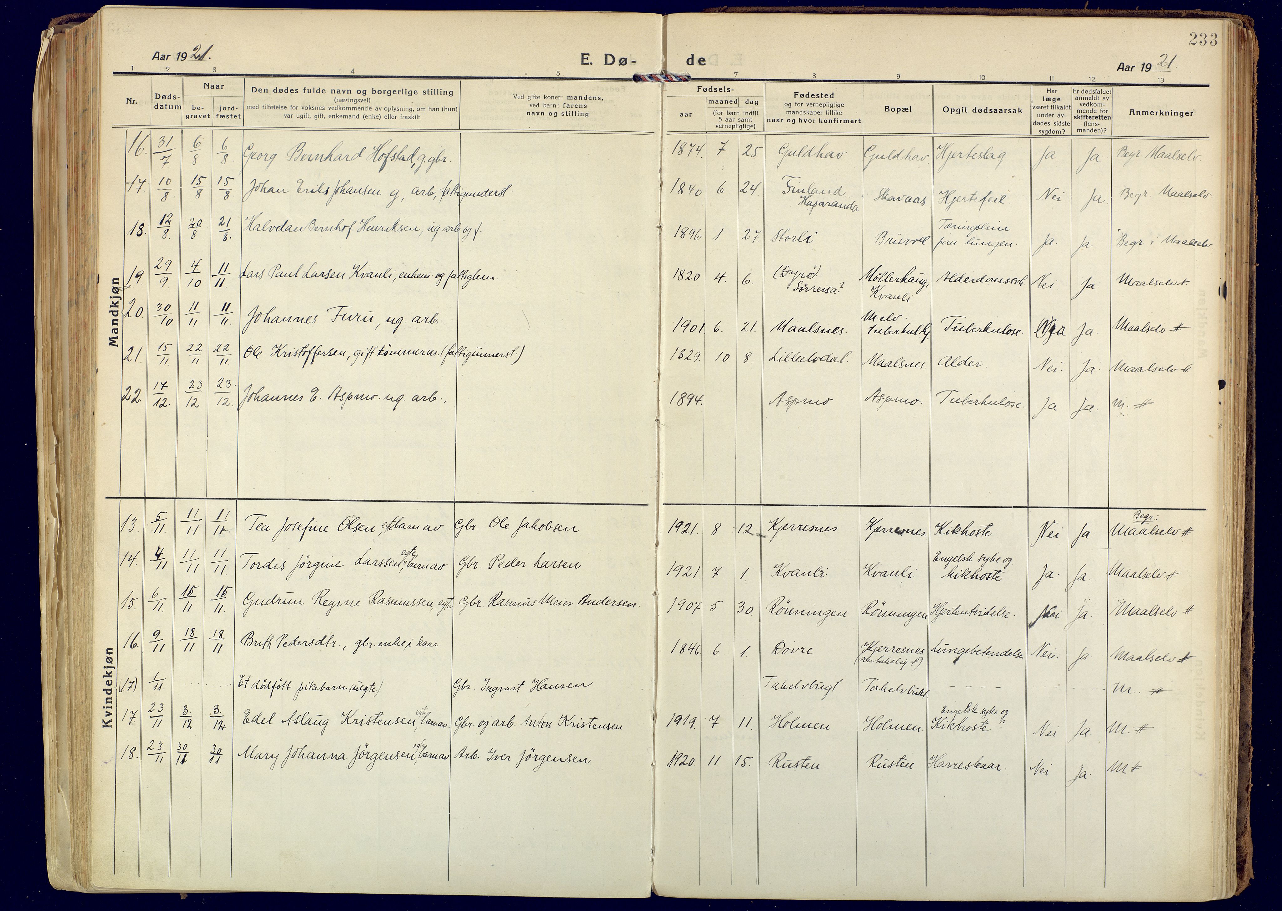 Målselv sokneprestembete, SATØ/S-1311/G/Ga/Gaa/L0014kirke: Parish register (official) no. 14, 1919-1932, p. 233