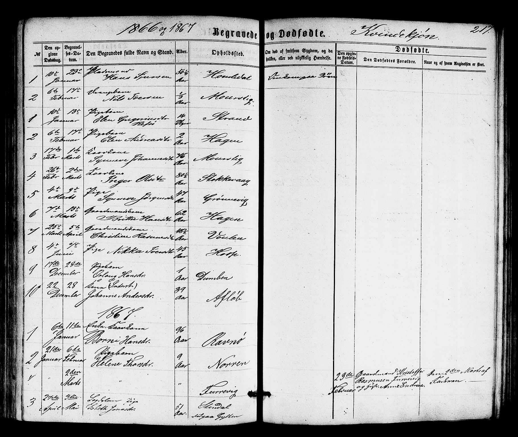 Solund sokneprestembete, AV/SAB-A-81401: Parish register (copy) no. A 1, 1860-1893, p. 217