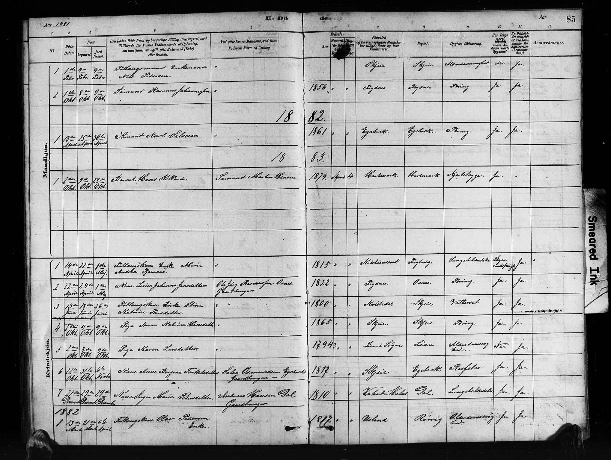 Mandal sokneprestkontor, SAK/1111-0030/F/Fb/Fbb/L0004: Parish register (copy) no. B 4, 1878-1913, p. 85