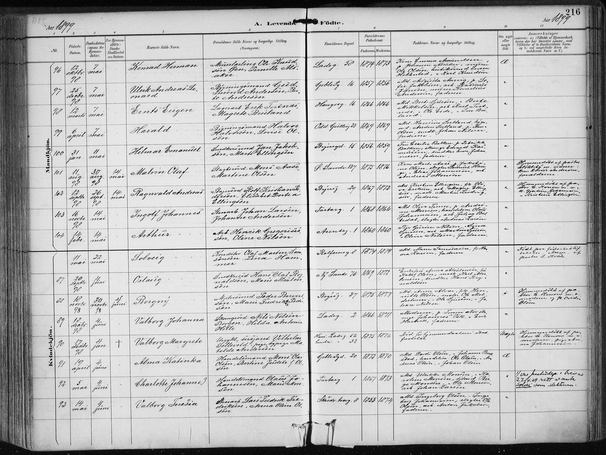 Sandviken Sokneprestembete, AV/SAB-A-77601/H/Ha/L0005: Parish register (official) no. B 2, 1891-1901, p. 216