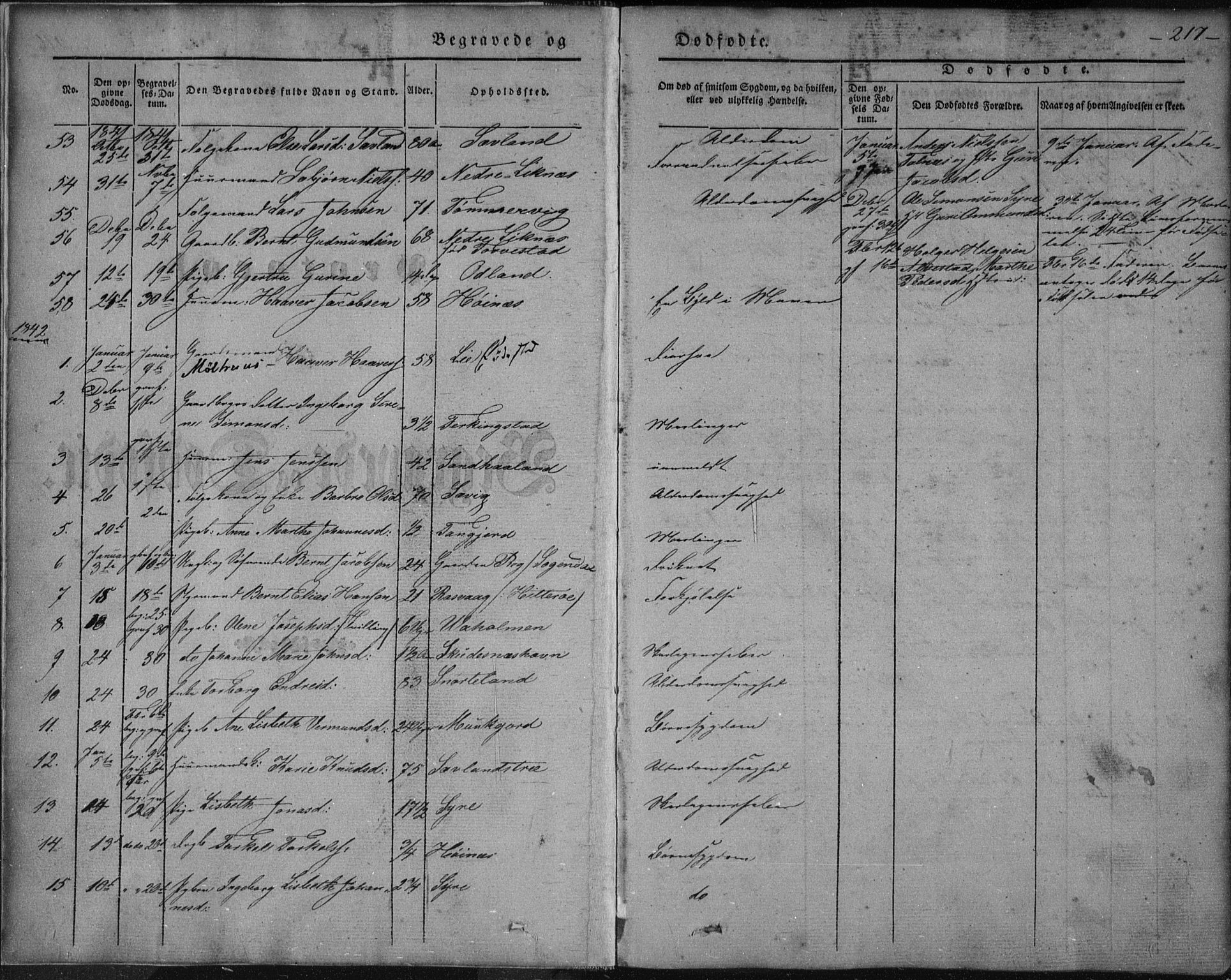 Skudenes sokneprestkontor, SAST/A -101849/H/Ha/Haa/L0003: Parish register (official) no. A 2.2, 1841-1846, p. 217
