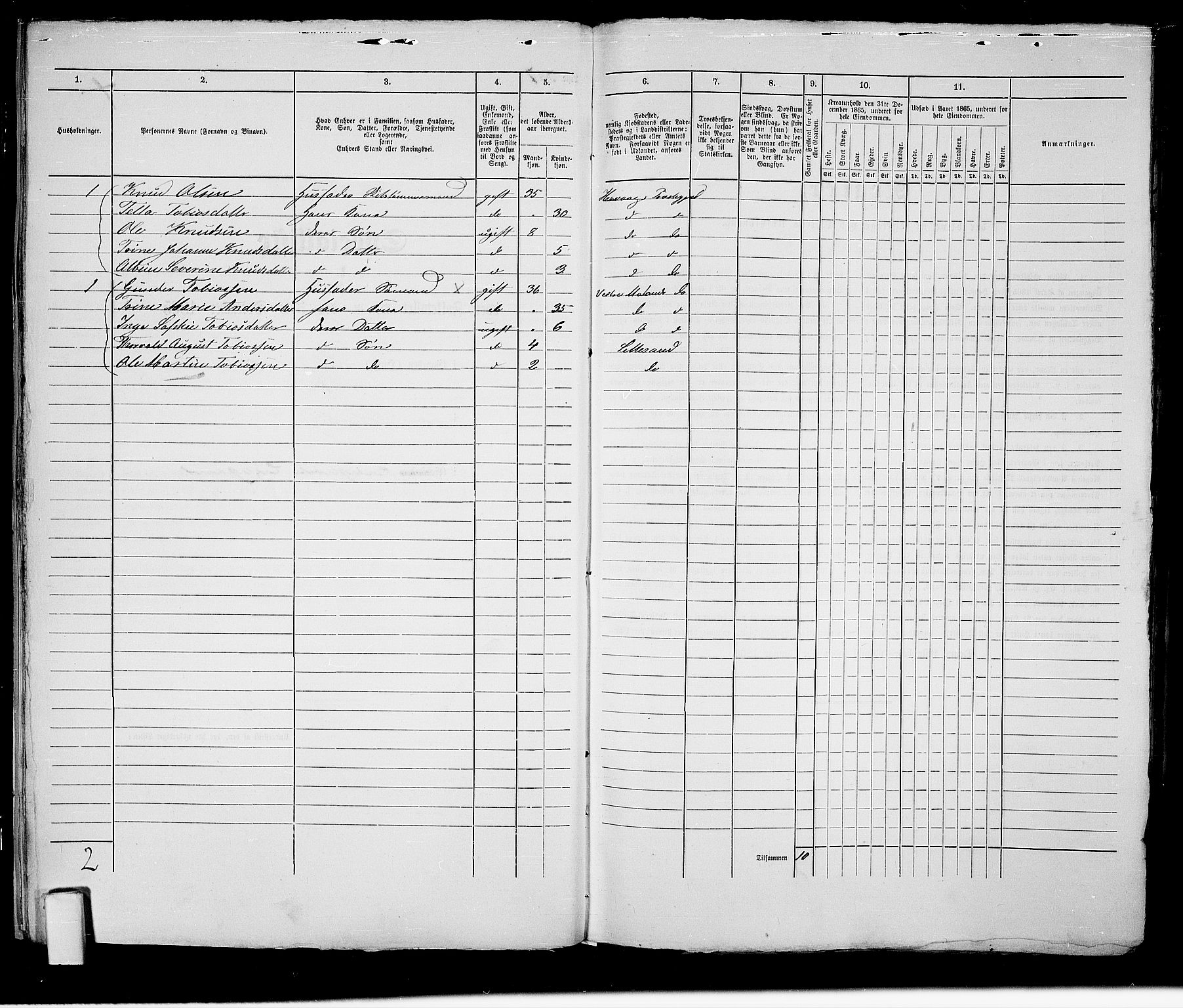 RA, 1865 census for Vestre Moland/Lillesand, 1865, p. 21