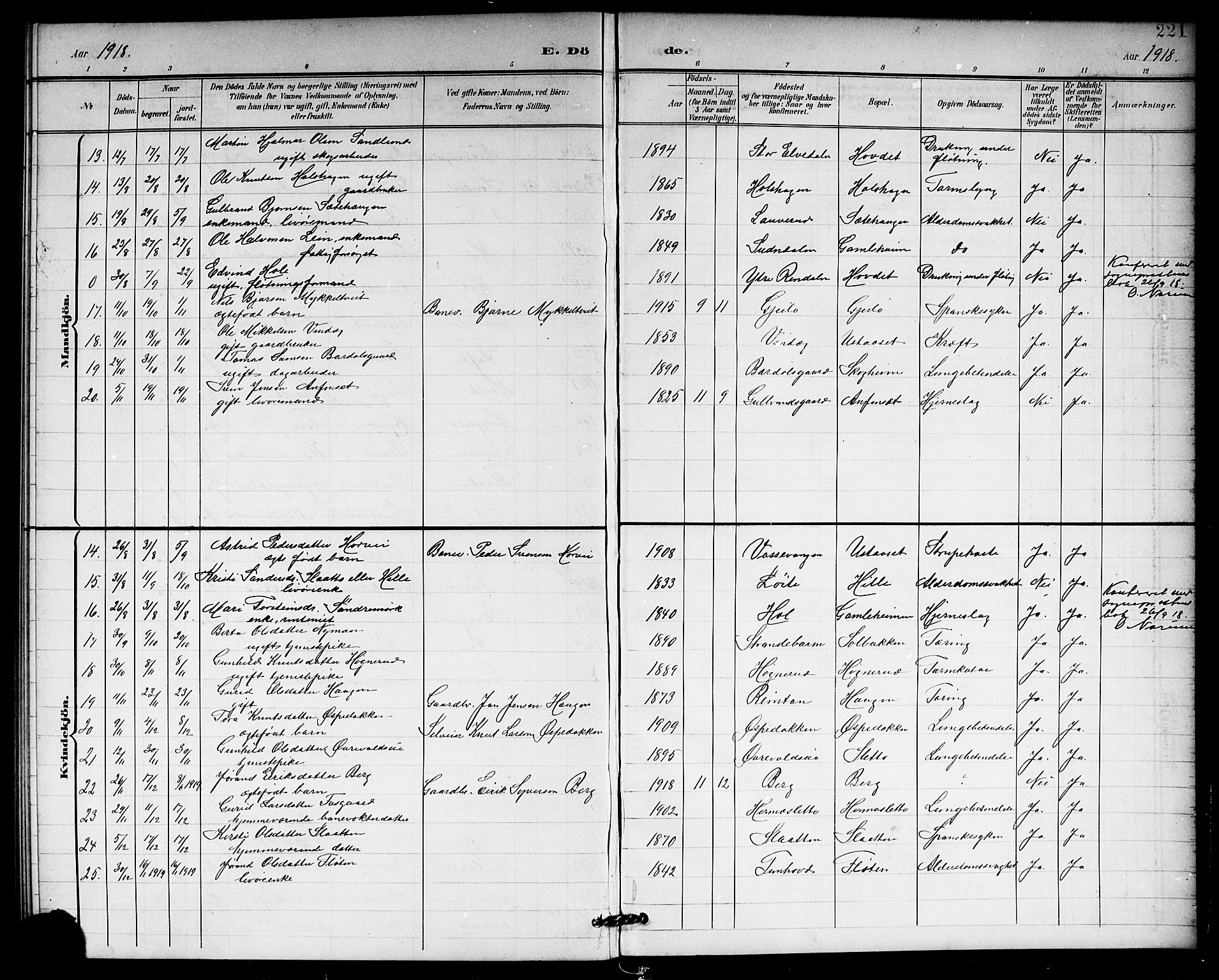 Hol kirkebøker, SAKO/A-227/G/Ga/L0001: Parish register (copy) no. I 1, 1900-1919, p. 221