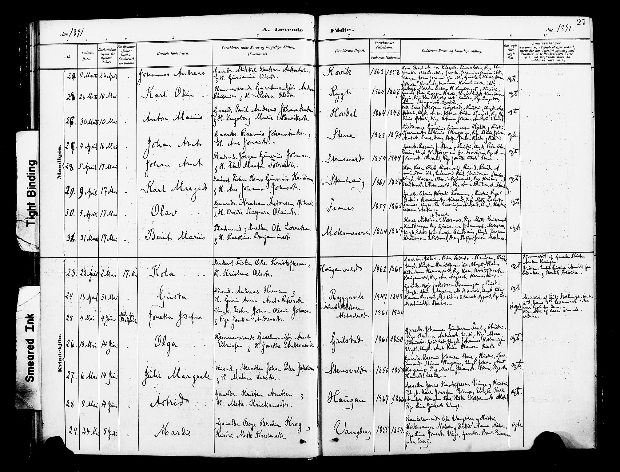 Ministerialprotokoller, klokkerbøker og fødselsregistre - Nord-Trøndelag, AV/SAT-A-1458/713/L0121: Parish register (official) no. 713A10, 1888-1898, p. 27