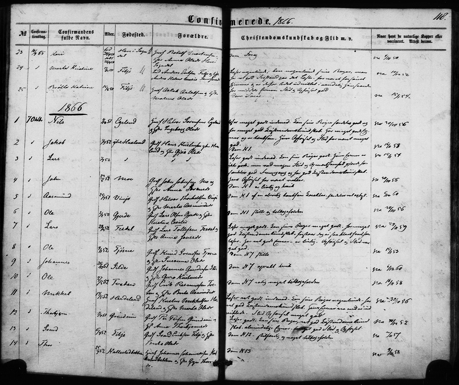 Etne sokneprestembete, SAB/A-75001/H/Haa: Parish register (official) no. A 9, 1862-1878, p. 118