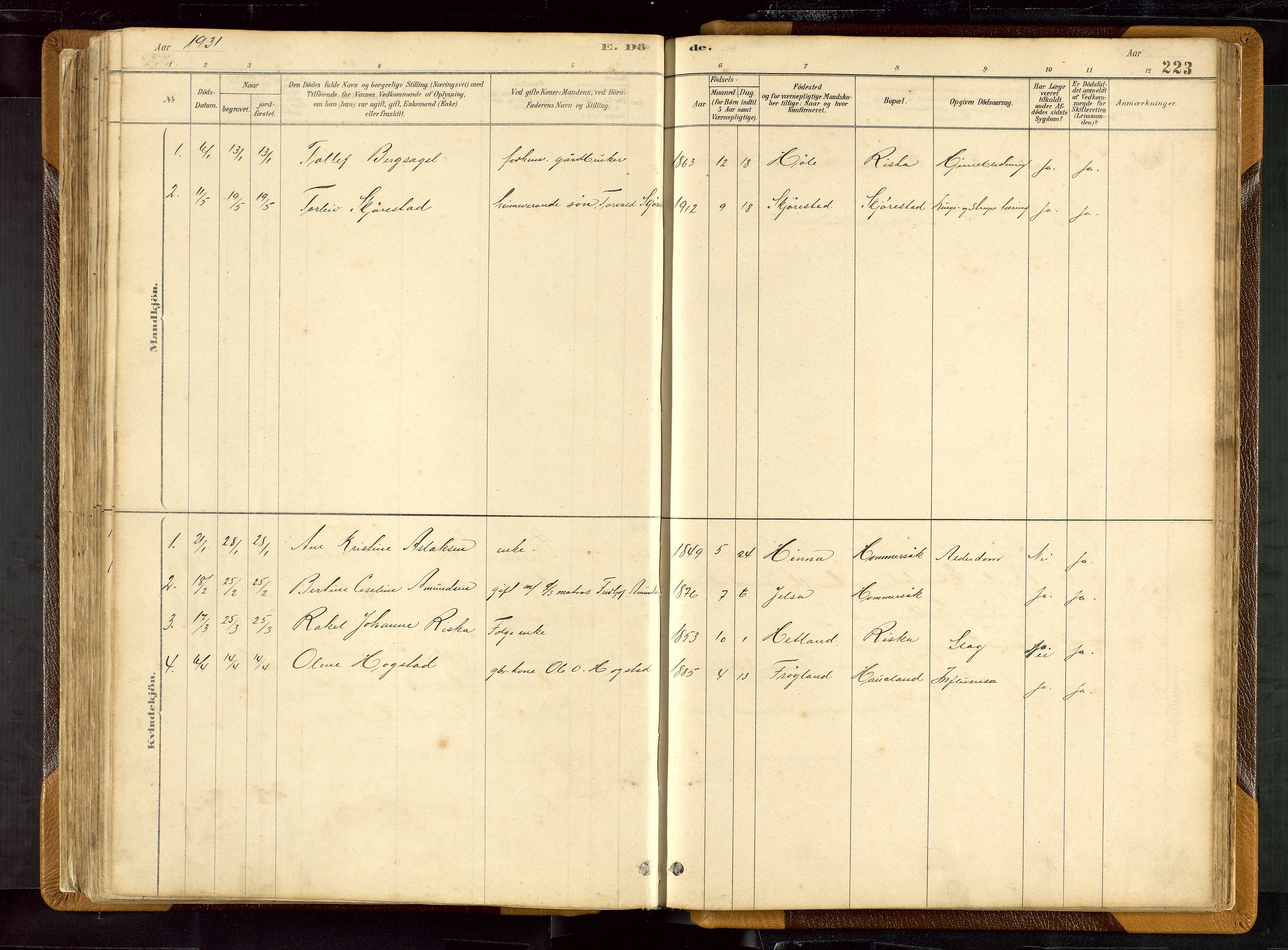 Hetland sokneprestkontor, SAST/A-101826/30/30BB/L0007: Parish register (copy) no. B 7, 1878-1910, p. 223