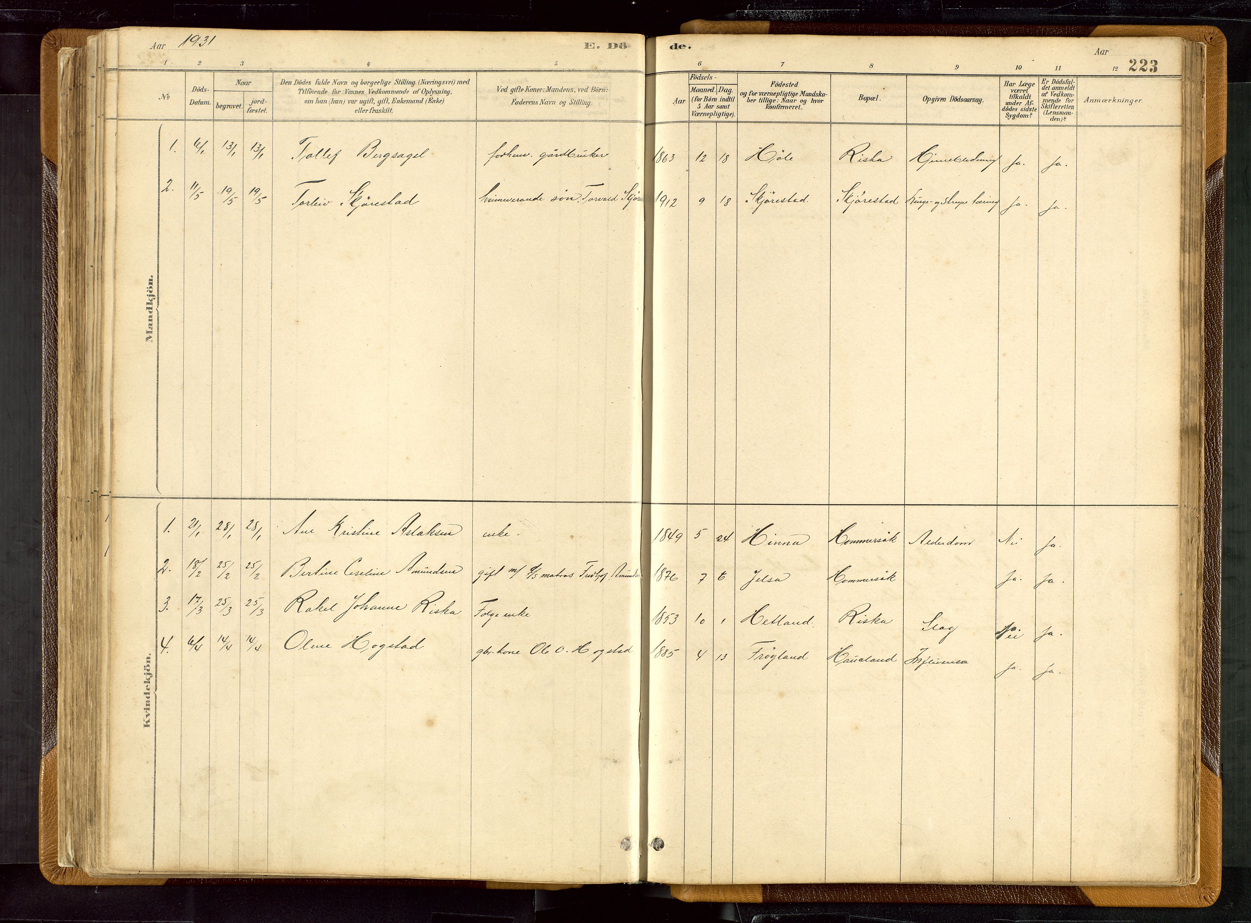 Hetland sokneprestkontor, AV/SAST-A-101826/30/30BB/L0007: Parish register (copy) no. B 7, 1878-1910, p. 223