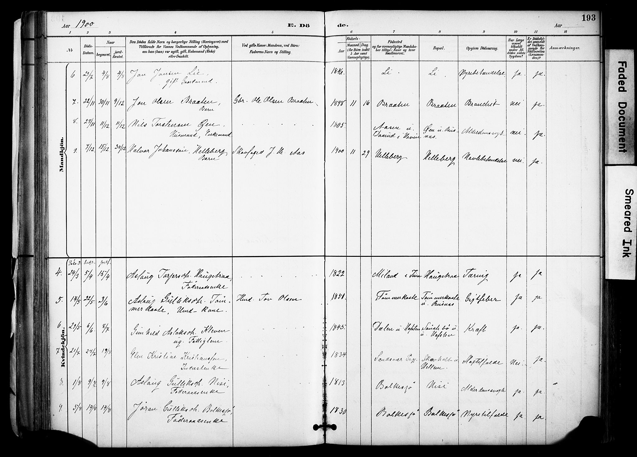 Gransherad kirkebøker, SAKO/A-267/F/Fa/L0005: Parish register (official) no. I 5, 1887-1916, p. 193