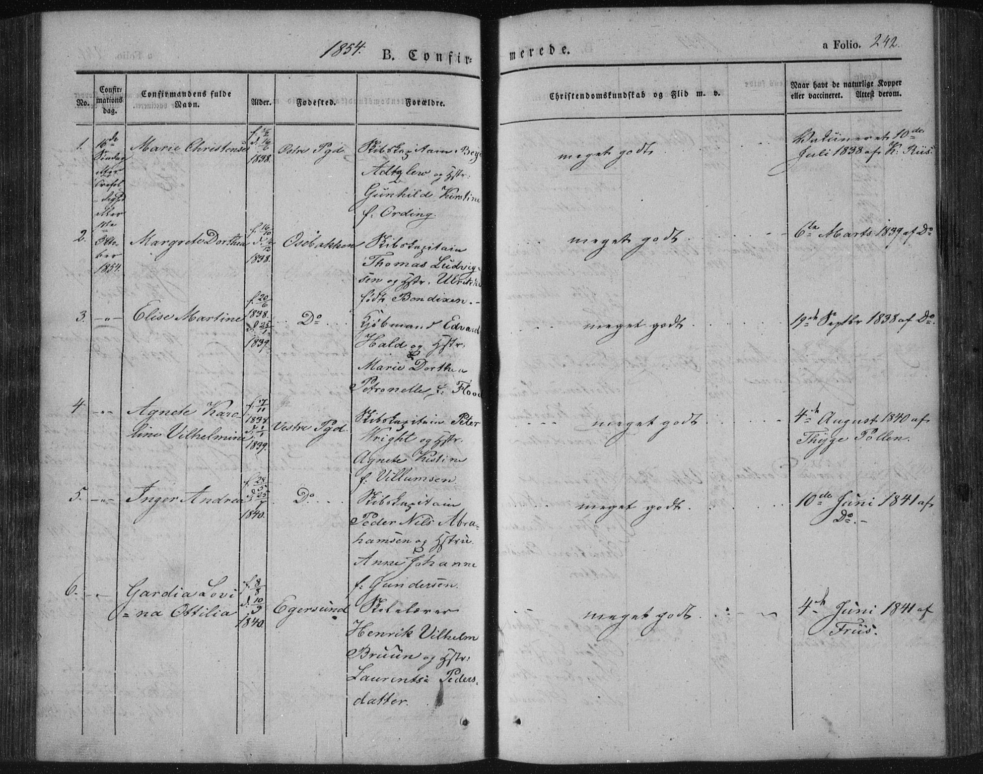 Porsgrunn kirkebøker , SAKO/A-104/F/Fa/L0006: Parish register (official) no. 6, 1841-1857, p. 242