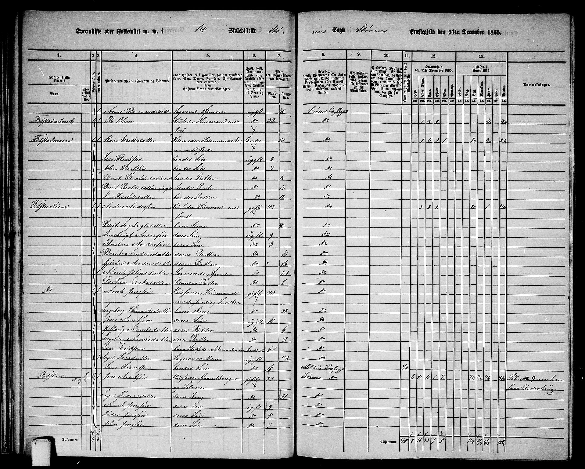 RA, 1865 census for Støren, 1865, p. 33