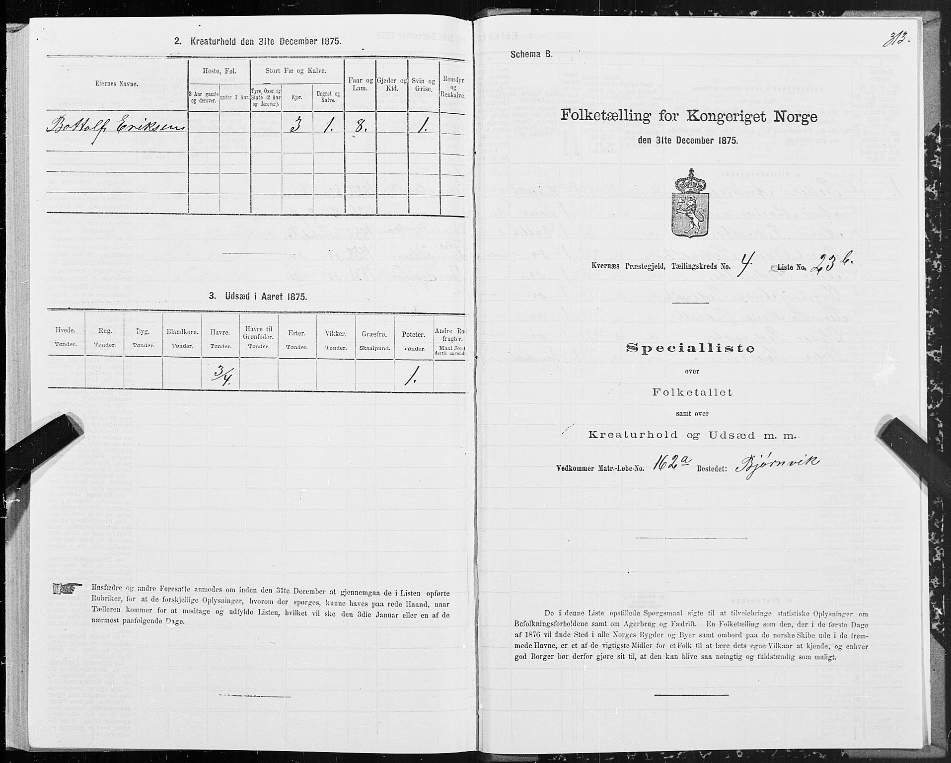 SAT, 1875 census for 1553P Kvernes, 1875, p. 2313