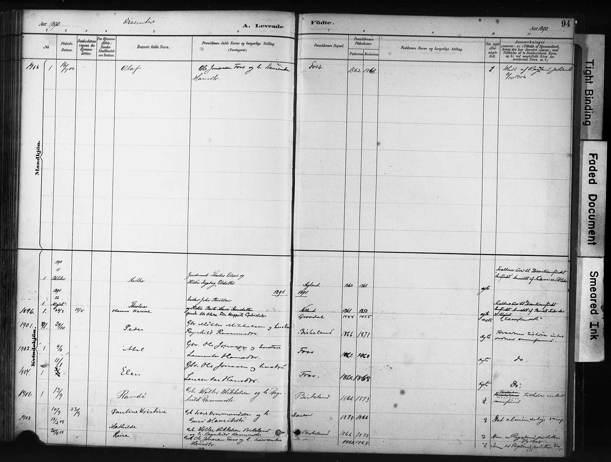 Helleland sokneprestkontor, SAST/A-101810: Parish register (official) no. A 9, 1887-1908, p. 94