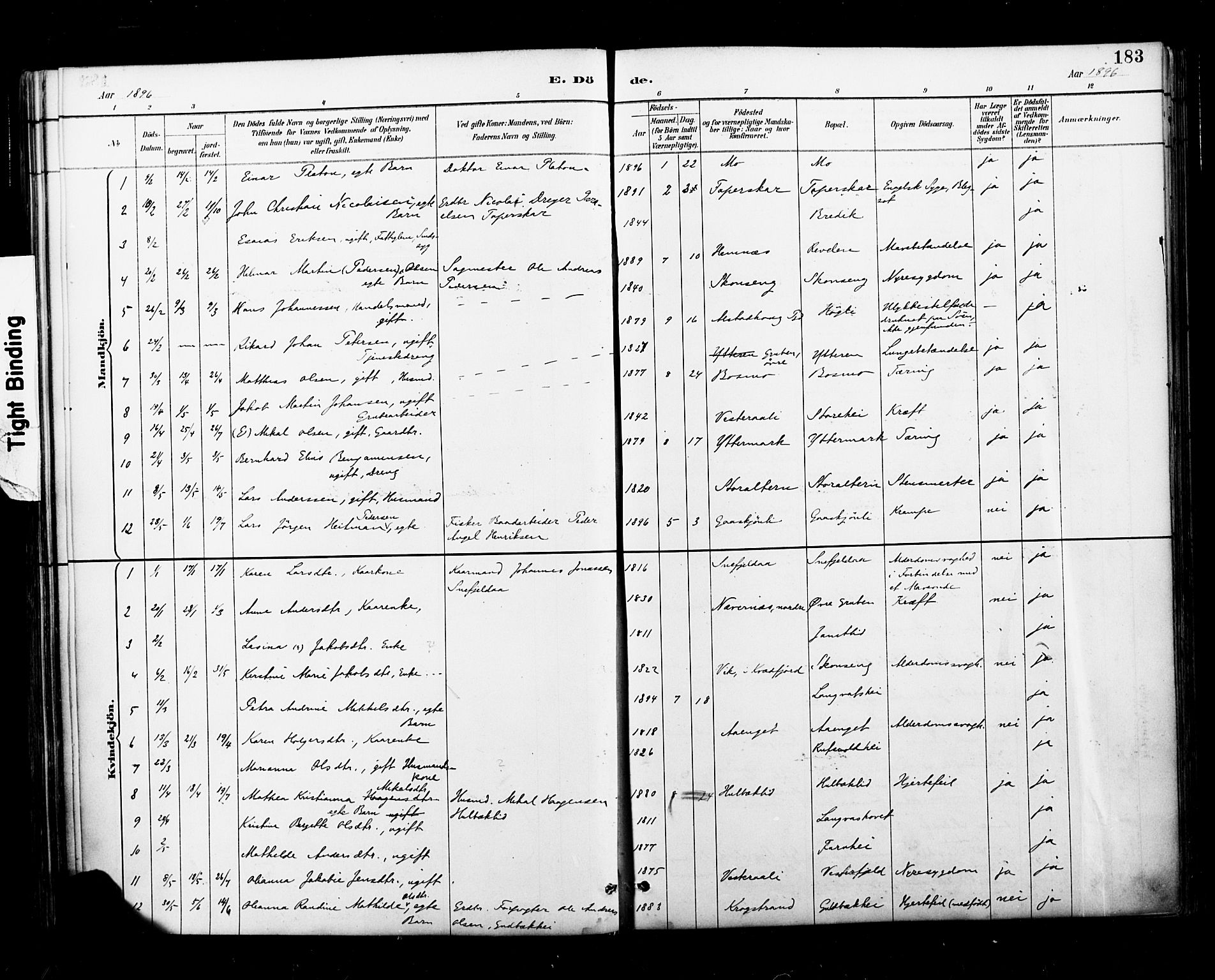 Ministerialprotokoller, klokkerbøker og fødselsregistre - Nordland, AV/SAT-A-1459/827/L0401: Parish register (official) no. 827A13, 1887-1905, p. 183