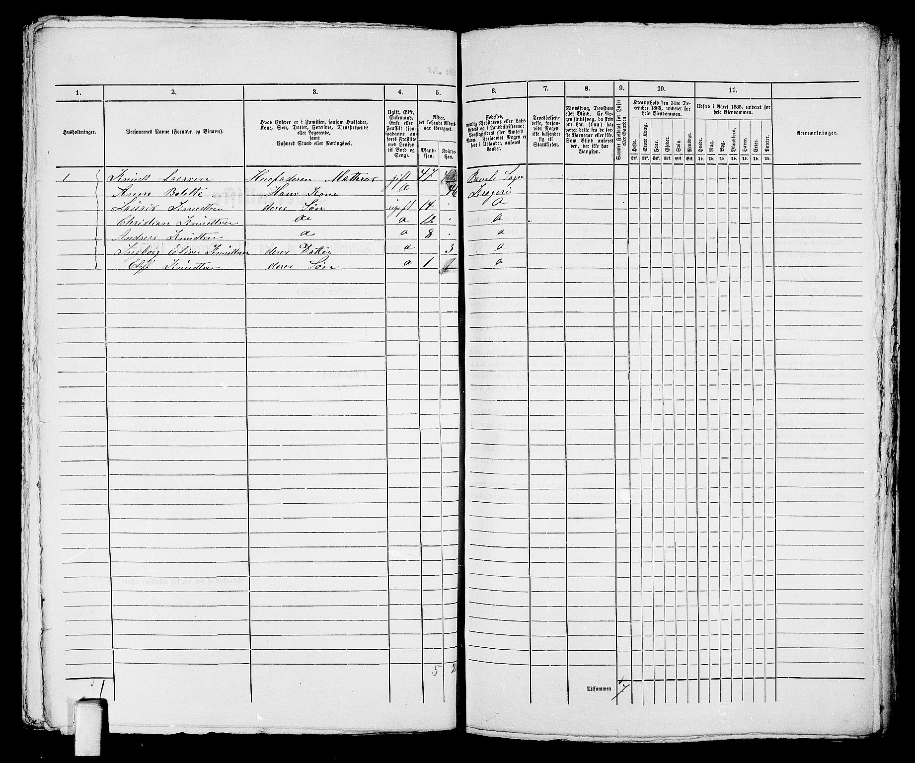 RA, 1865 census for Kragerø/Kragerø, 1865, p. 383