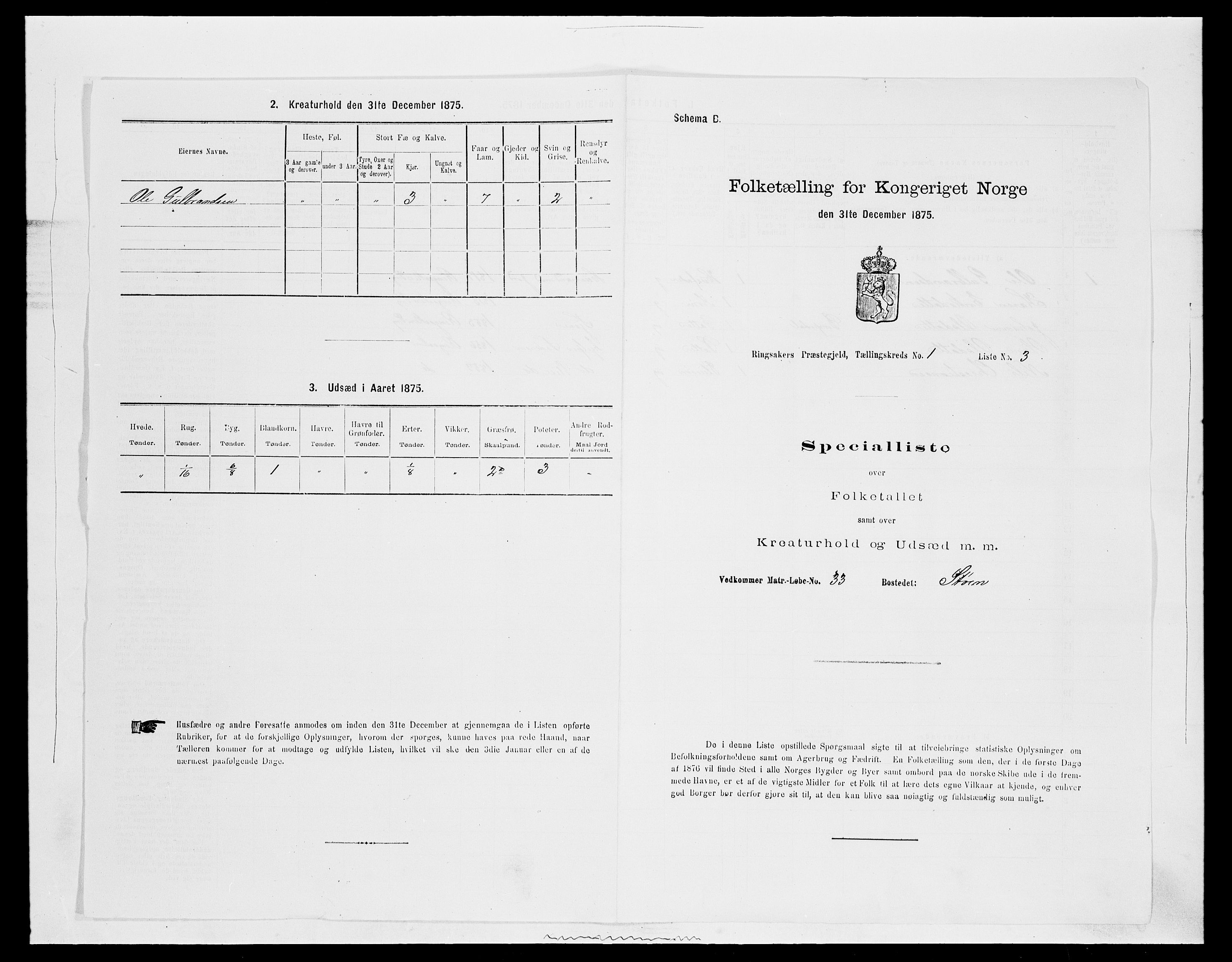 SAH, 1875 census for 0412P Ringsaker, 1875, p. 229