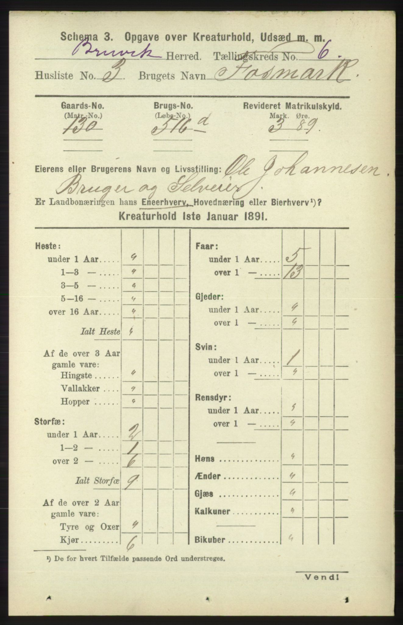 RA, 1891 census for 1251 Bruvik, 1891, p. 4562