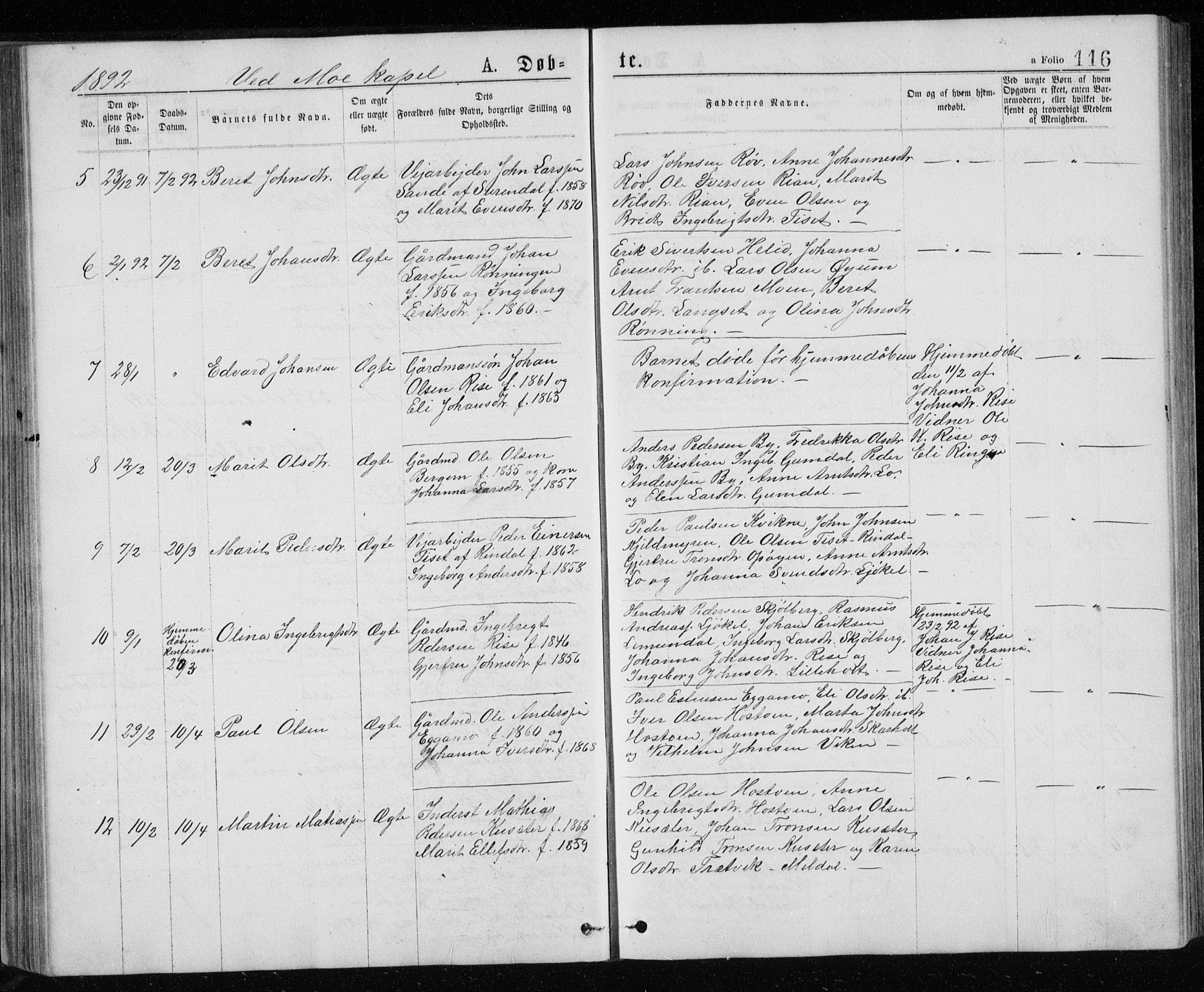 Ministerialprotokoller, klokkerbøker og fødselsregistre - Sør-Trøndelag, SAT/A-1456/671/L0843: Parish register (copy) no. 671C02, 1873-1892, p. 116