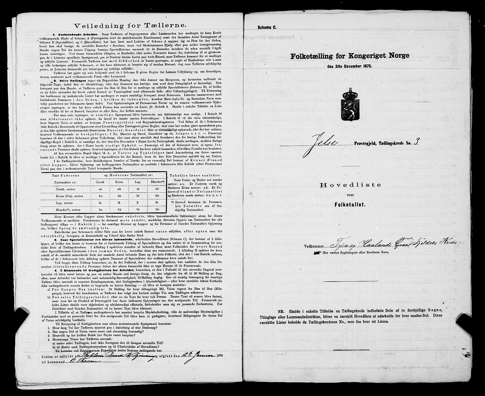 SAST, 1875 census for 1138P Jelsa, 1875, p. 8