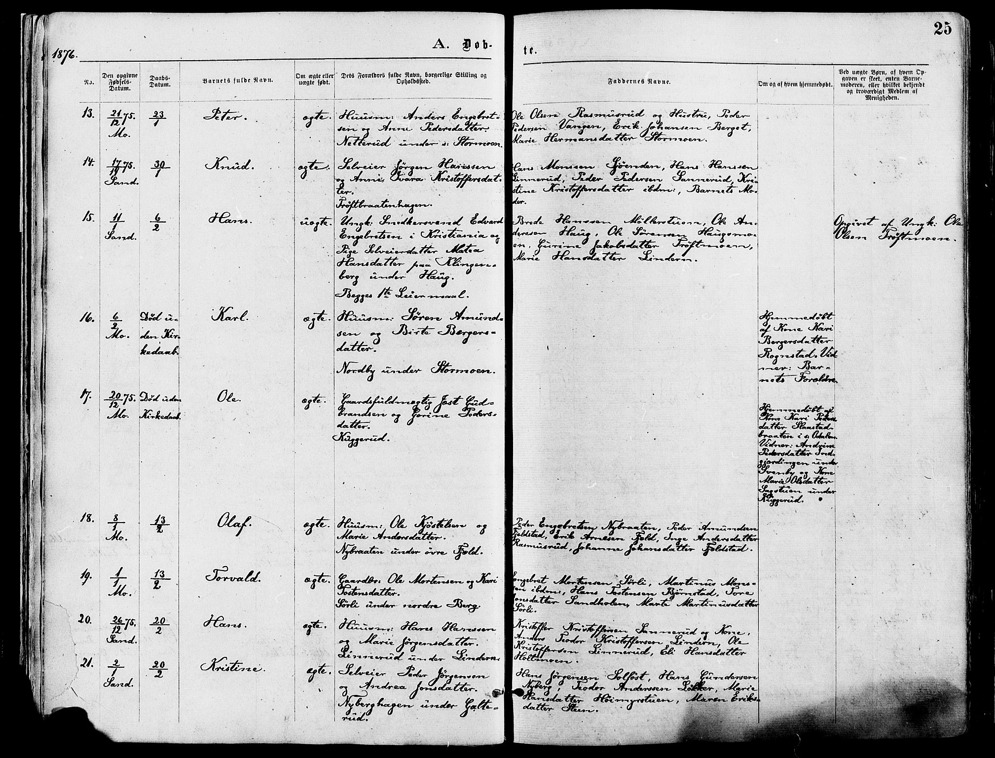 Nord-Odal prestekontor, AV/SAH-PREST-032/H/Ha/Haa/L0005: Parish register (official) no. 5, 1874-1885, p. 25