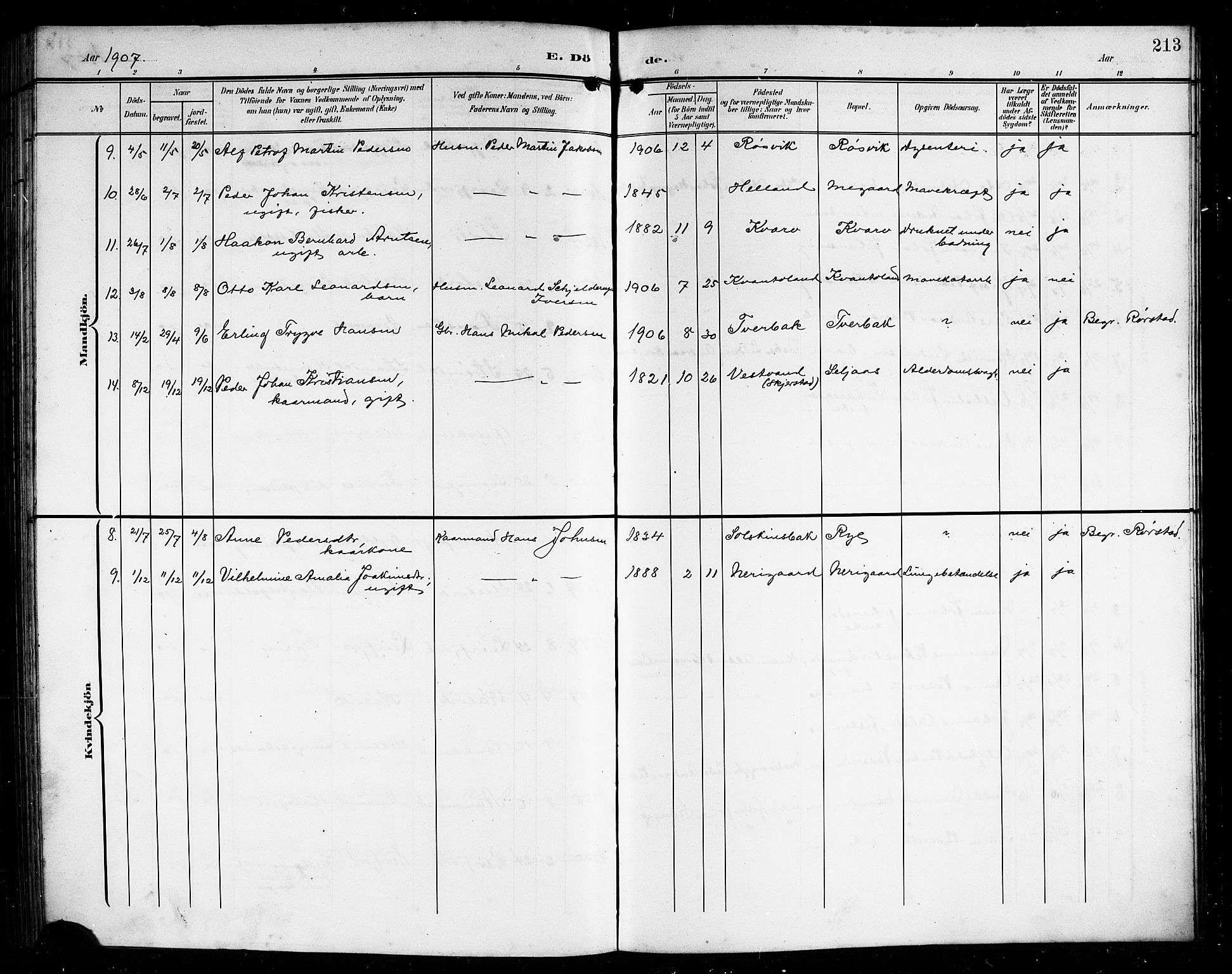 Ministerialprotokoller, klokkerbøker og fødselsregistre - Nordland, AV/SAT-A-1459/854/L0786: Parish register (copy) no. 854C02, 1901-1912, p. 213