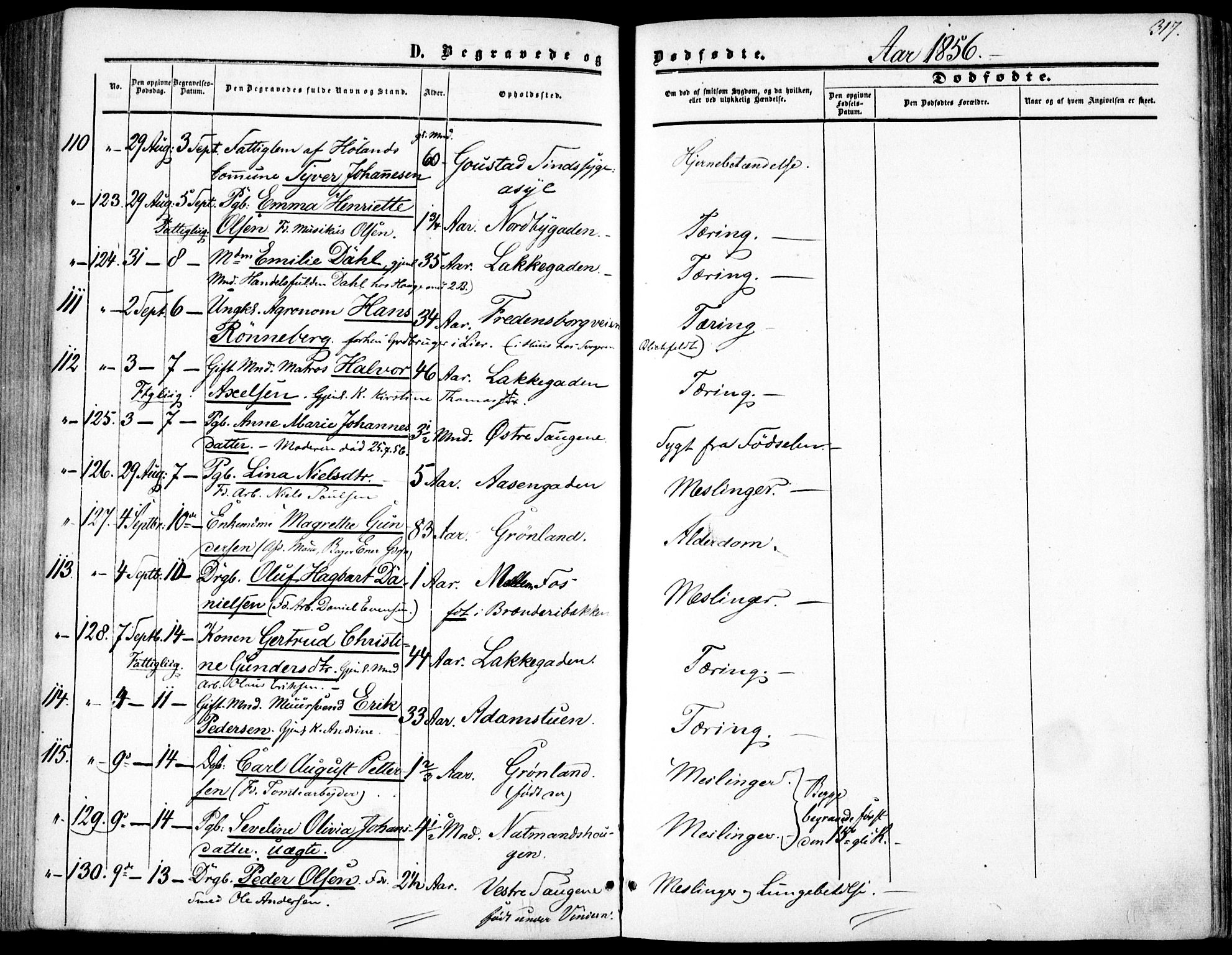 Vestre Aker prestekontor Kirkebøker, AV/SAO-A-10025/F/Fa/L0002: Parish register (official) no. 2, 1855-1877, p. 317