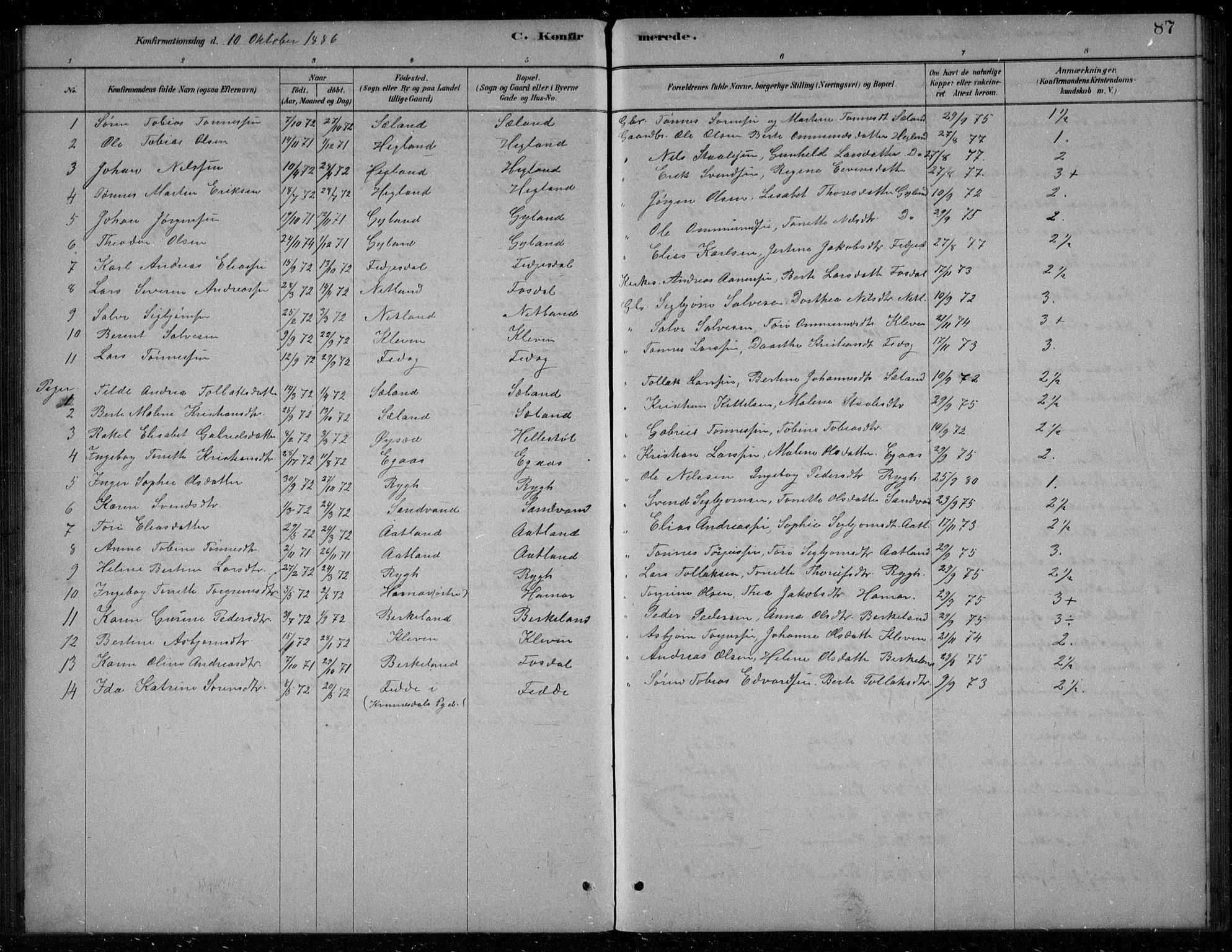 Bakke sokneprestkontor, SAK/1111-0002/F/Fb/Fbb/L0003: Parish register (copy) no. B 3, 1878-1896, p. 87