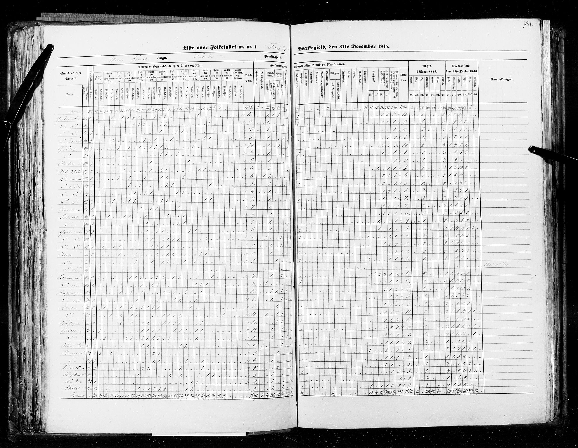 RA, Census 1845, vol. 5: Bratsberg amt og Nedenes og Råbyggelaget amt, 1845, p. 131