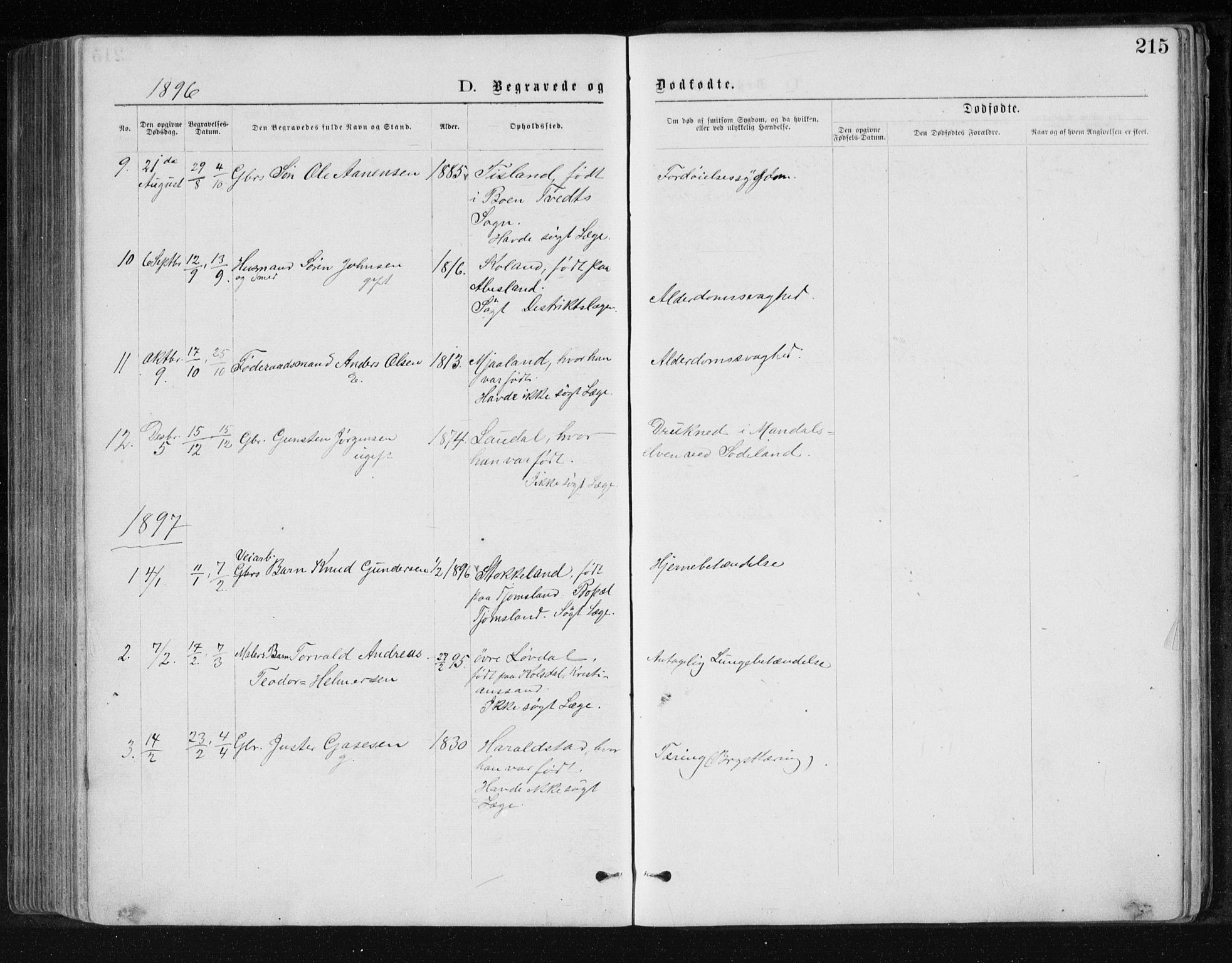Holum sokneprestkontor, SAK/1111-0022/F/Fb/Fbb/L0003: Parish register (copy) no. B 3, 1875-1898, p. 215
