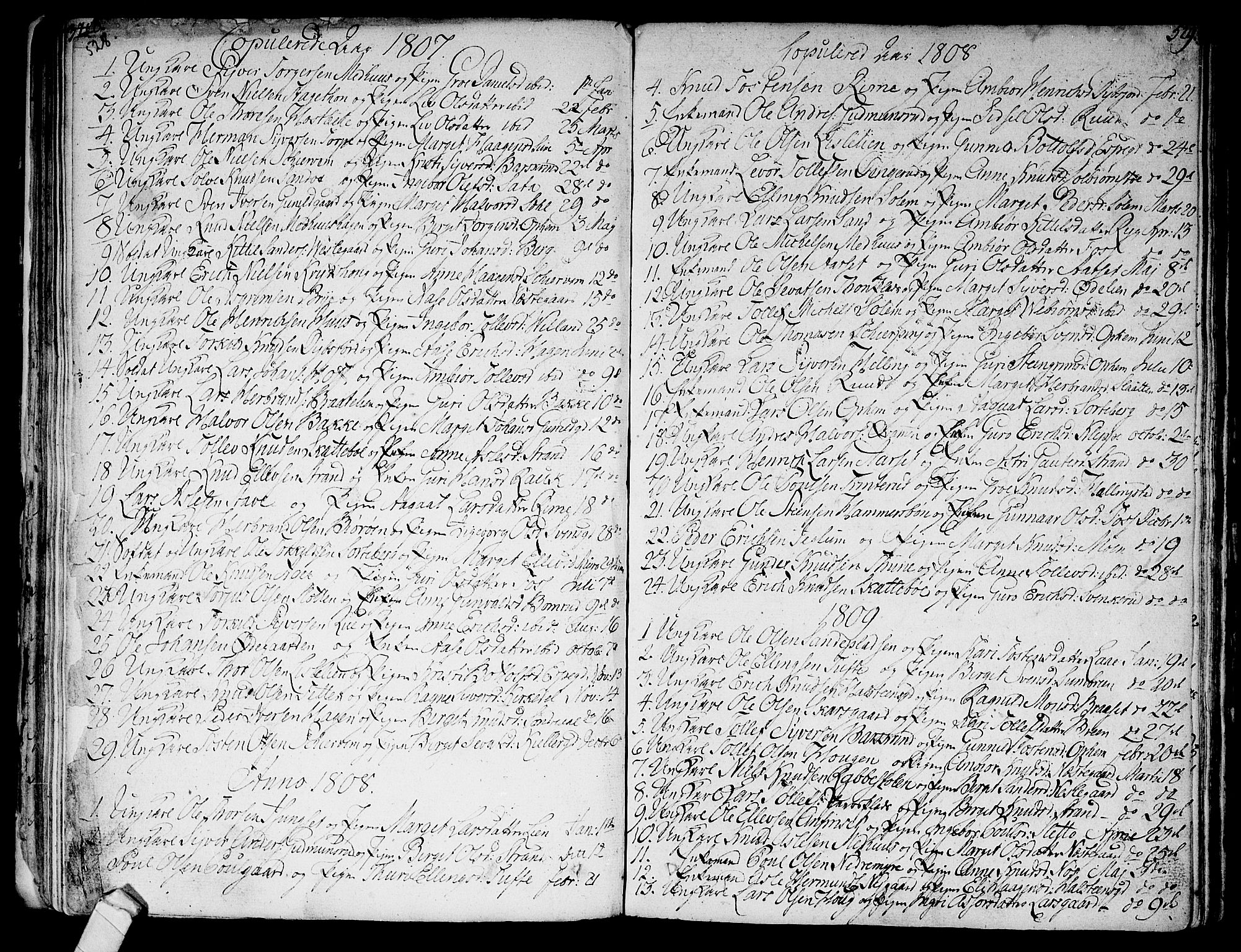 Ål kirkebøker, AV/SAKO-A-249/F/Fa/L0003: Parish register (official) no. I 3, 1807-1814, p. 528-529