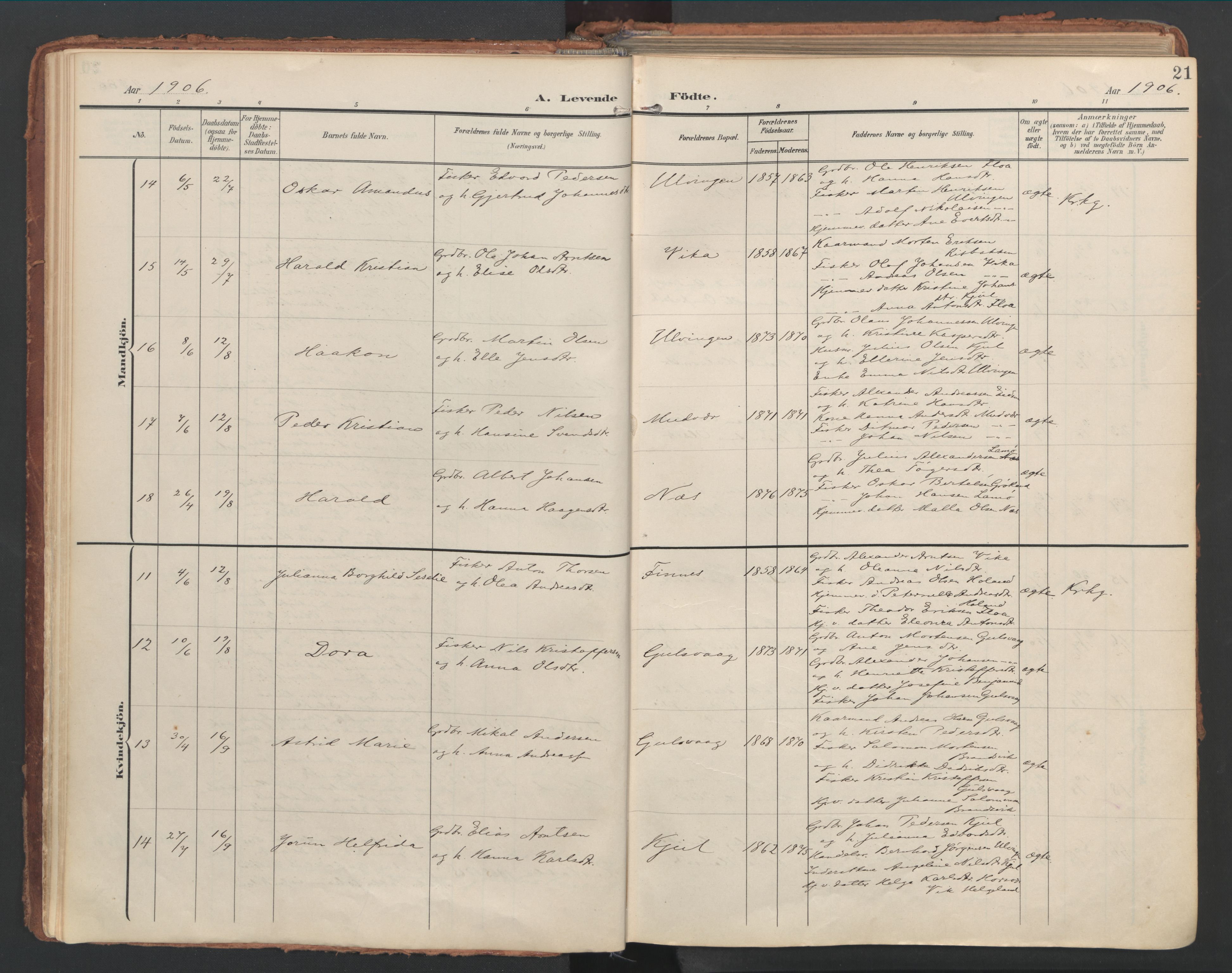 Ministerialprotokoller, klokkerbøker og fødselsregistre - Nordland, AV/SAT-A-1459/816/L0250: Parish register (official) no. 816A16, 1903-1923, p. 21