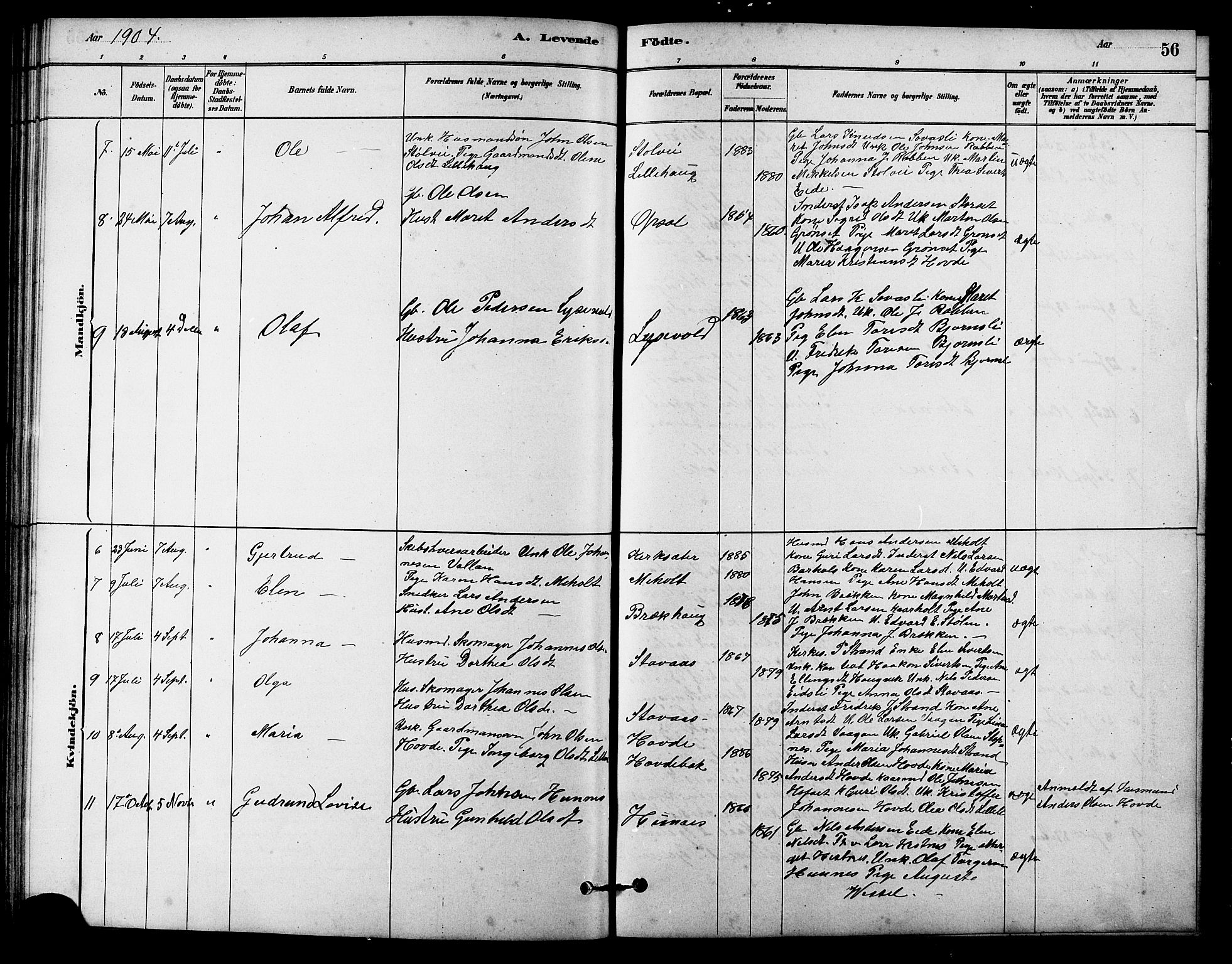 Ministerialprotokoller, klokkerbøker og fødselsregistre - Sør-Trøndelag, SAT/A-1456/631/L0514: Parish register (copy) no. 631C02, 1879-1912, p. 56