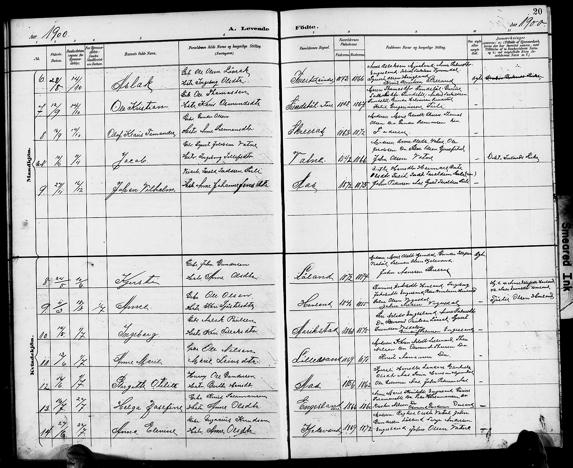 Herefoss sokneprestkontor, AV/SAK-1111-0019/F/Fb/Fbb/L0003: Parish register (copy) no. B 3, 1892-1917, p. 20