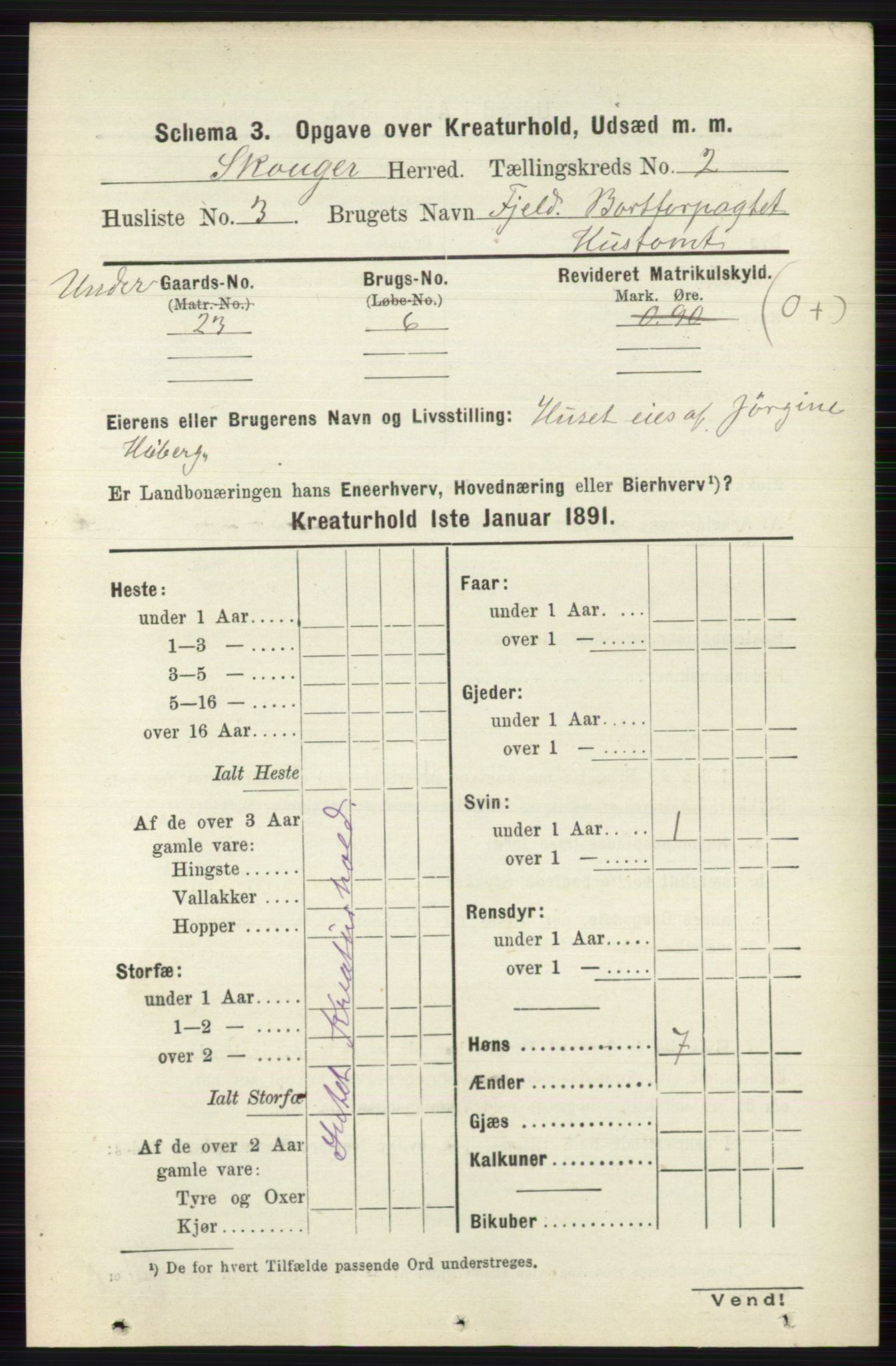 RA, 1891 census for 0712 Skoger, 1891, p. 4471