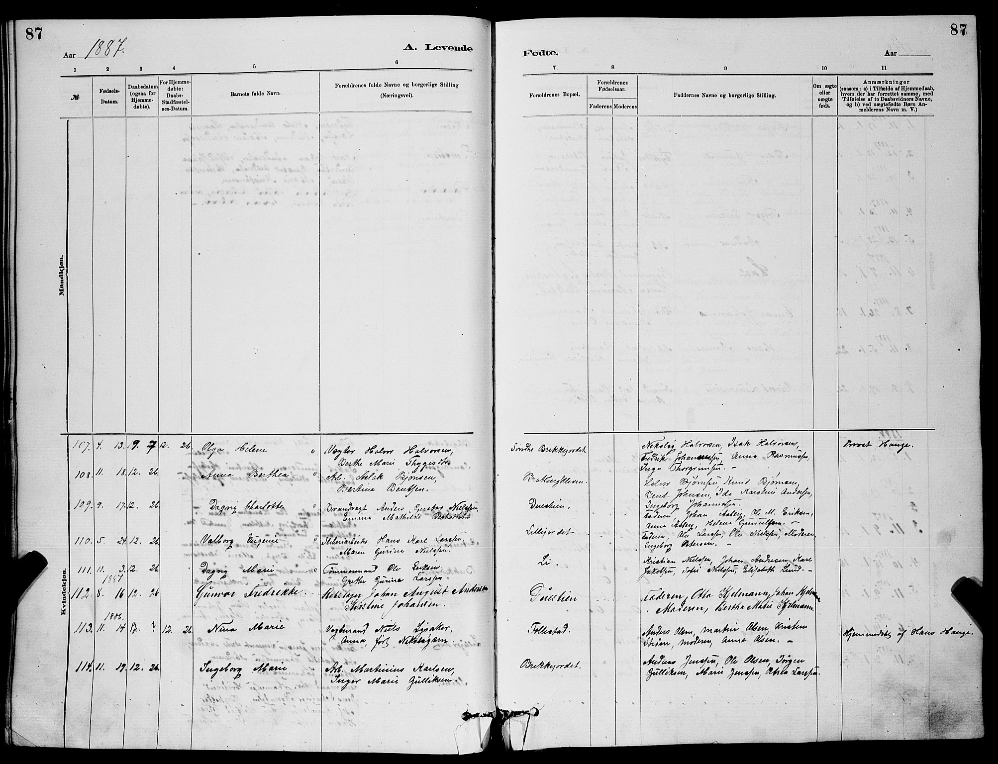 Skien kirkebøker, SAKO/A-302/G/Ga/L0006: Parish register (copy) no. 6, 1881-1890, p. 87