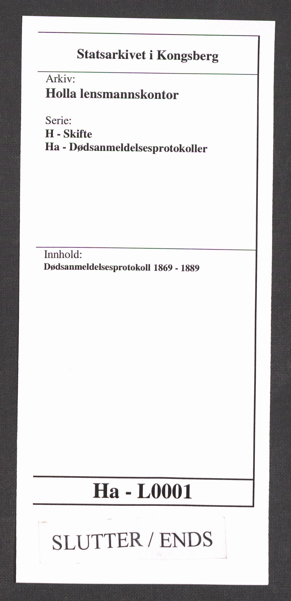 Holla lensmannskontor, AV/SAKO-A-560/H/Ha/L0001: Dødsanmeldelsesprotokoll, 1869-1889